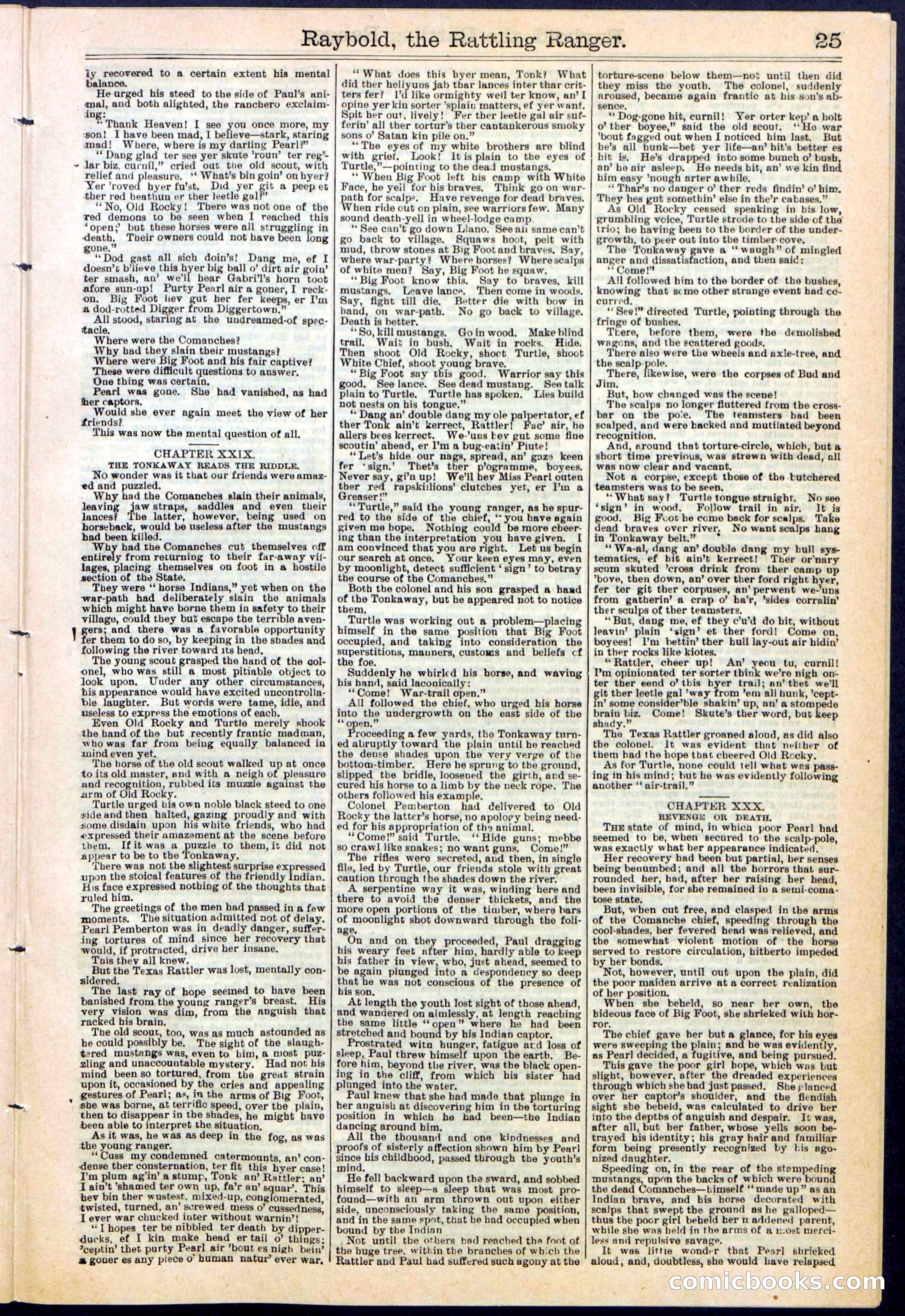 Beadle's Dime Library No. 309 — page 25 of 32