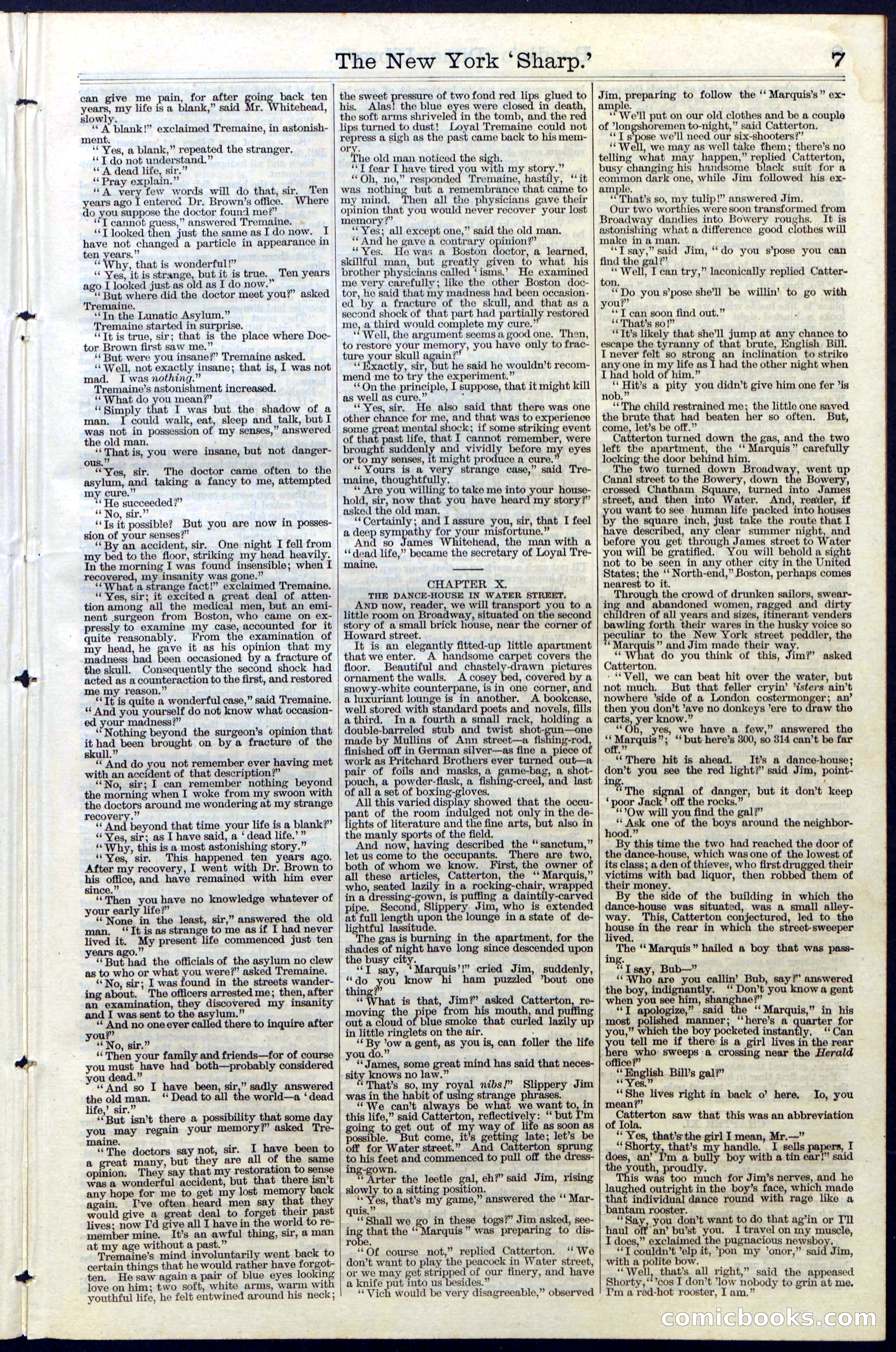 Beadle's Dime Library, Vol. III, No. 31 — page 7 of 32
