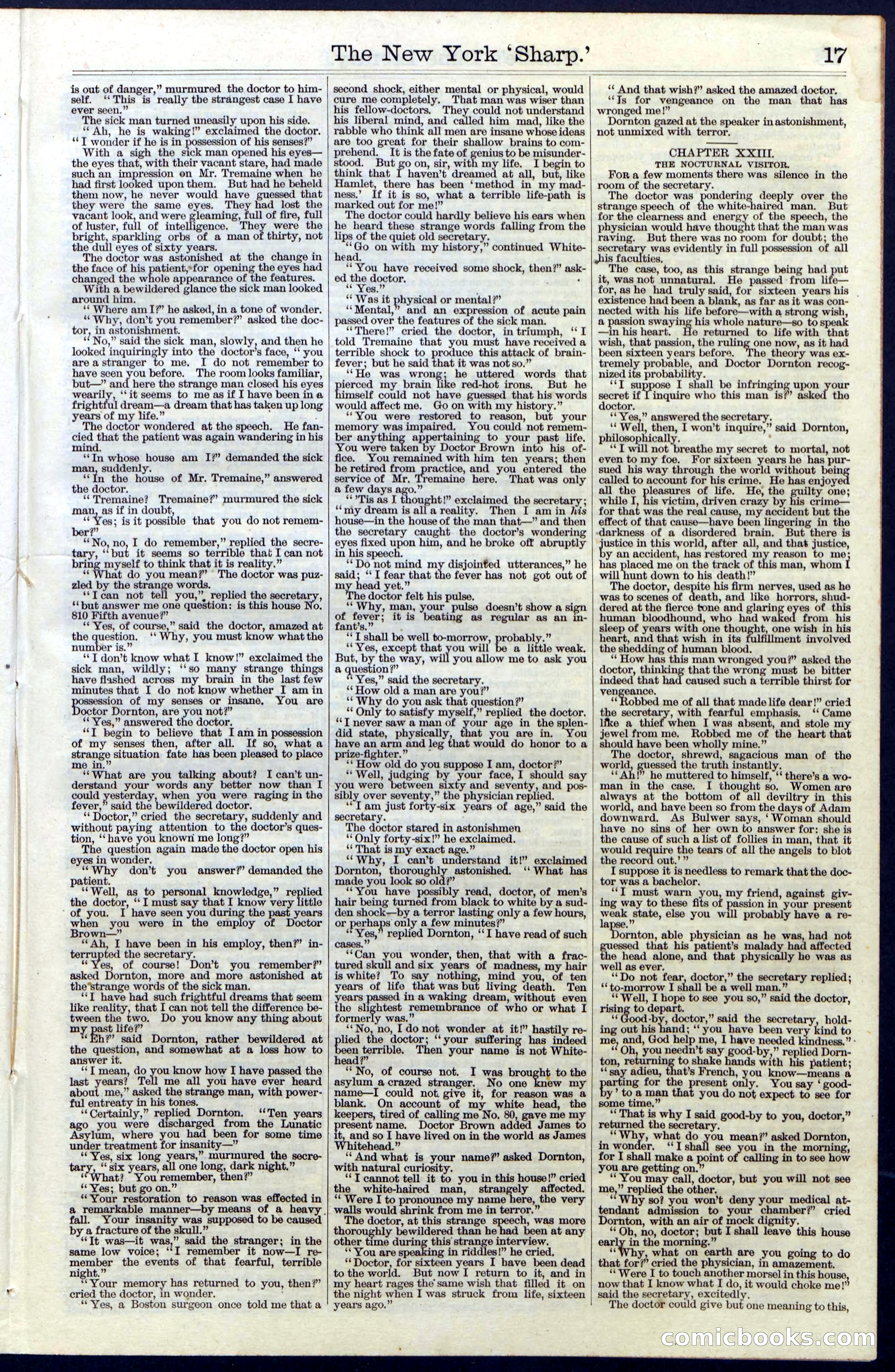 Beadle's Dime Library, Vol. III, No. 31 — page 17 of 32