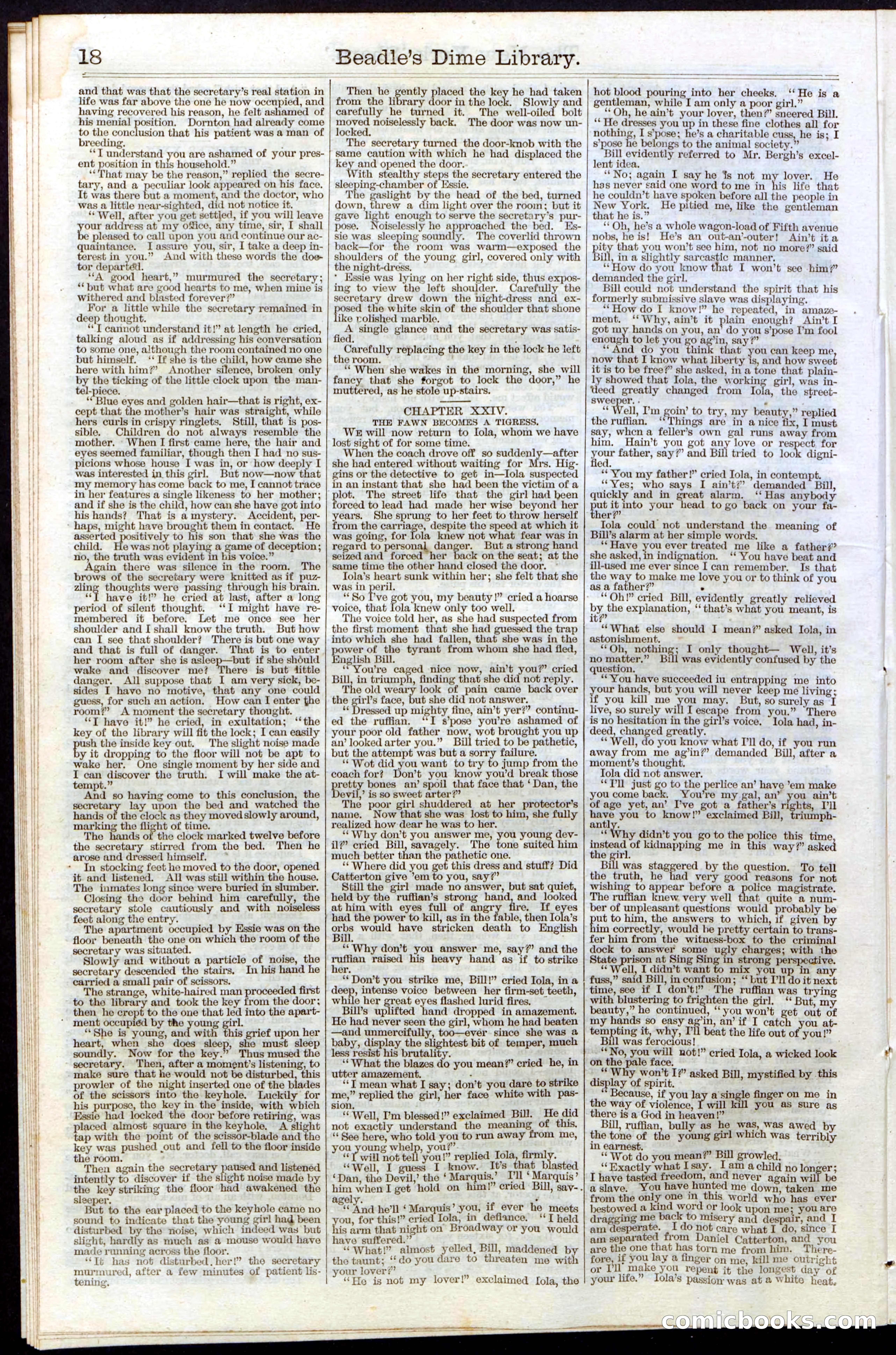 Beadle's Dime Library, Vol. III, No. 31 — page 18 of 32
