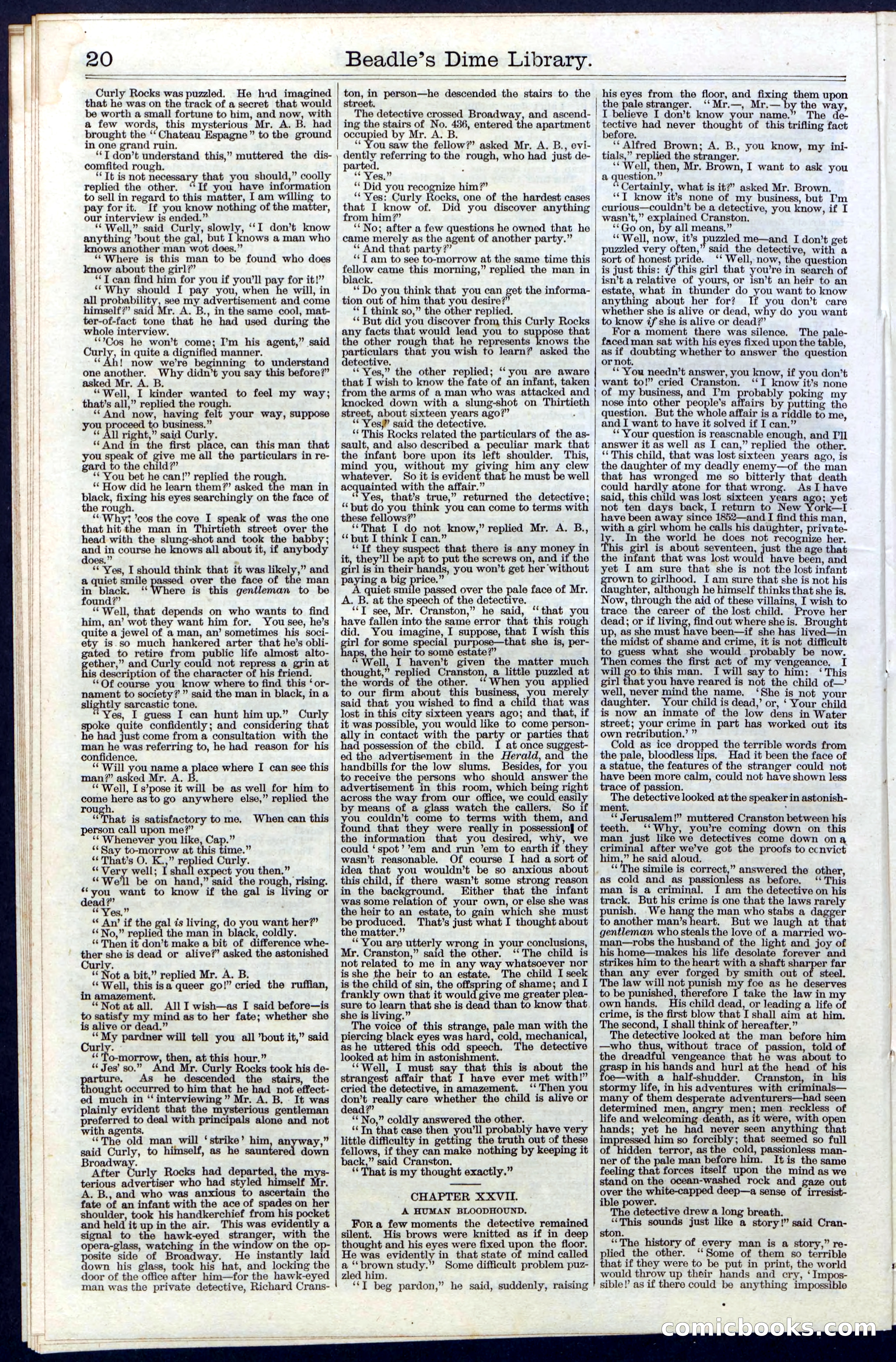Beadle's Dime Library, Vol. III, No. 31 — page 20 of 32