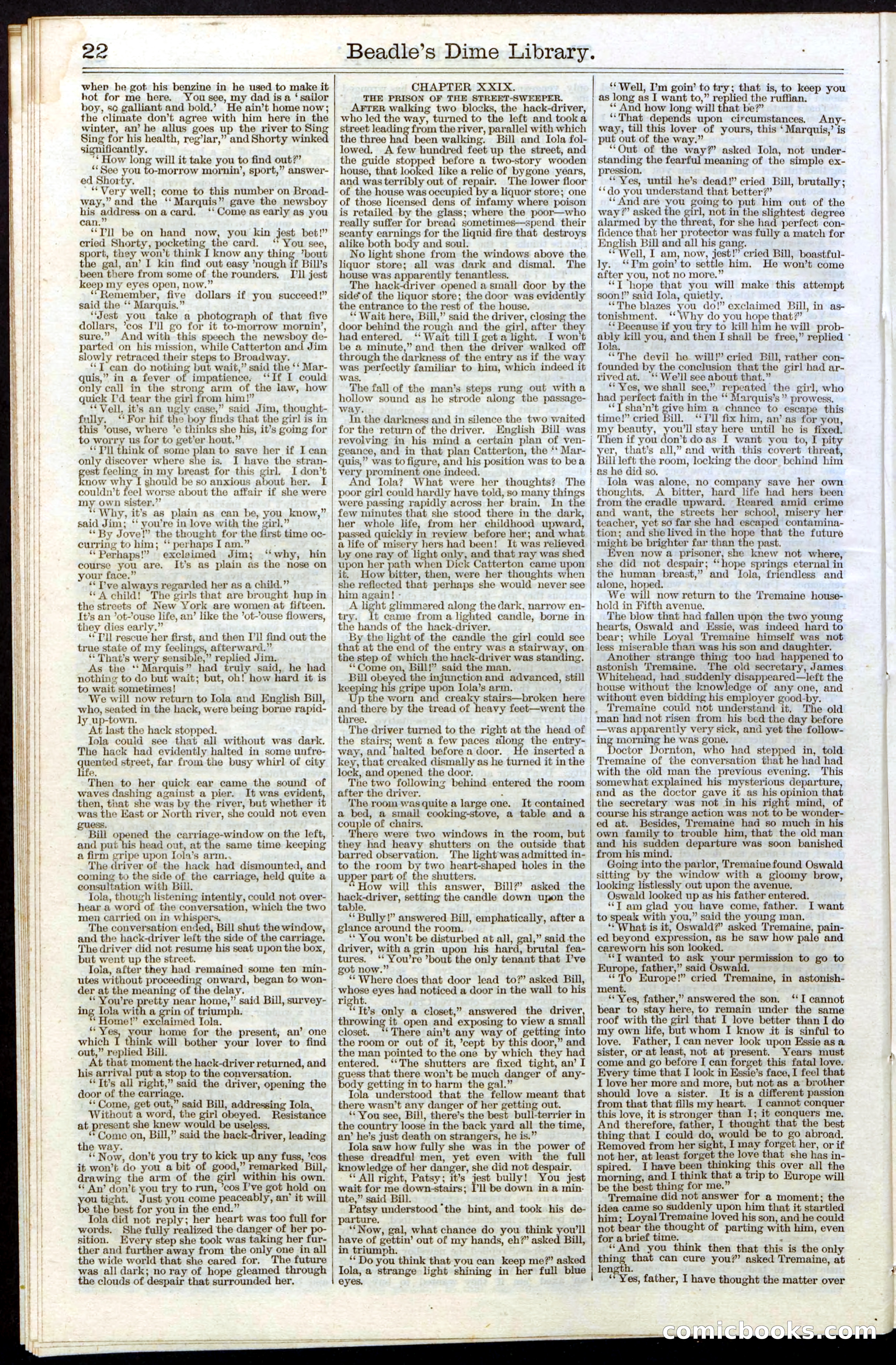 Beadle's Dime Library, Vol. III, No. 31 — page 22 of 32