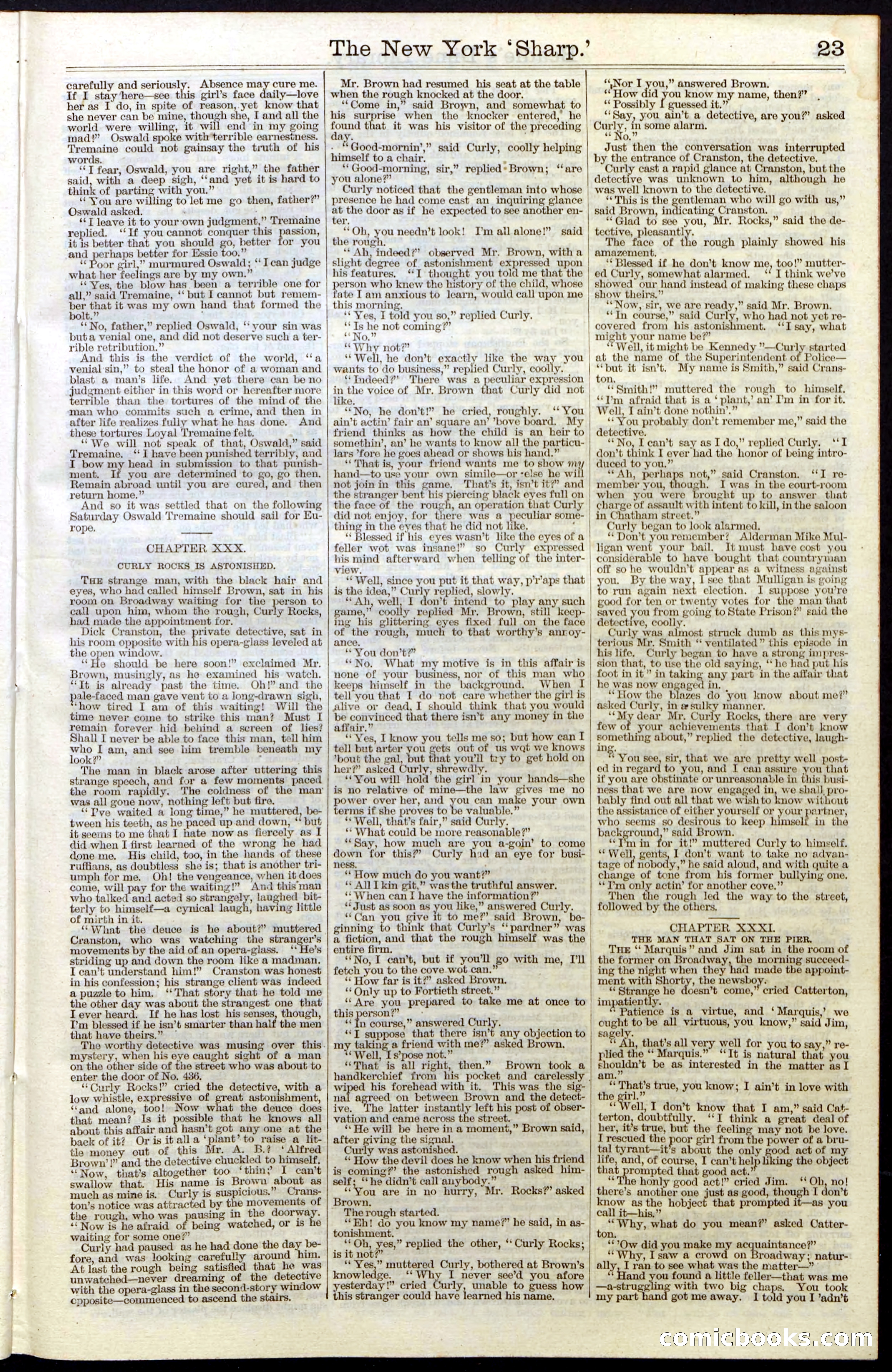Beadle's Dime Library, Vol. III, No. 31 — page 23 of 32