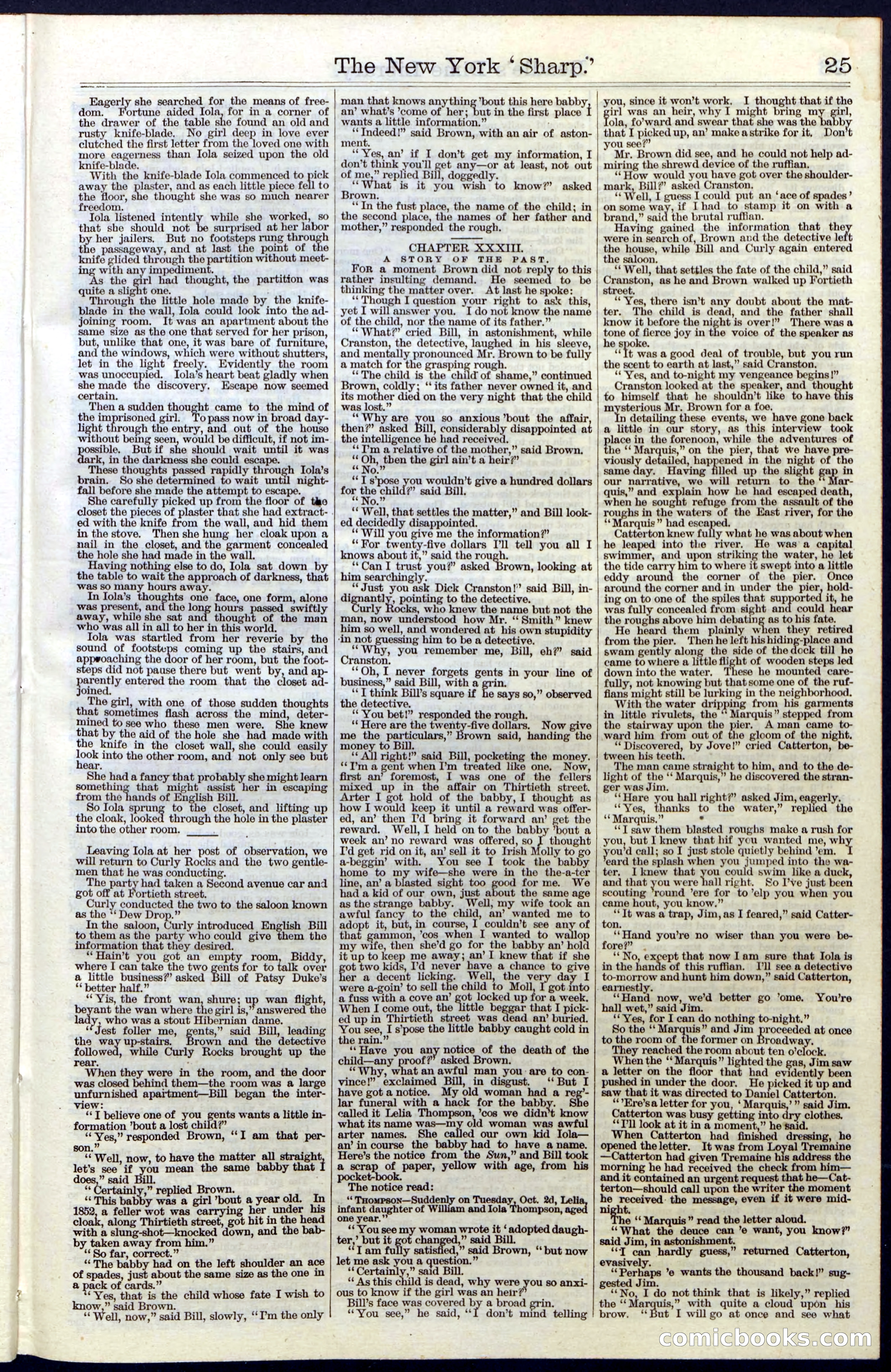 Beadle's Dime Library, Vol. III, No. 31 — page 25 of 32
