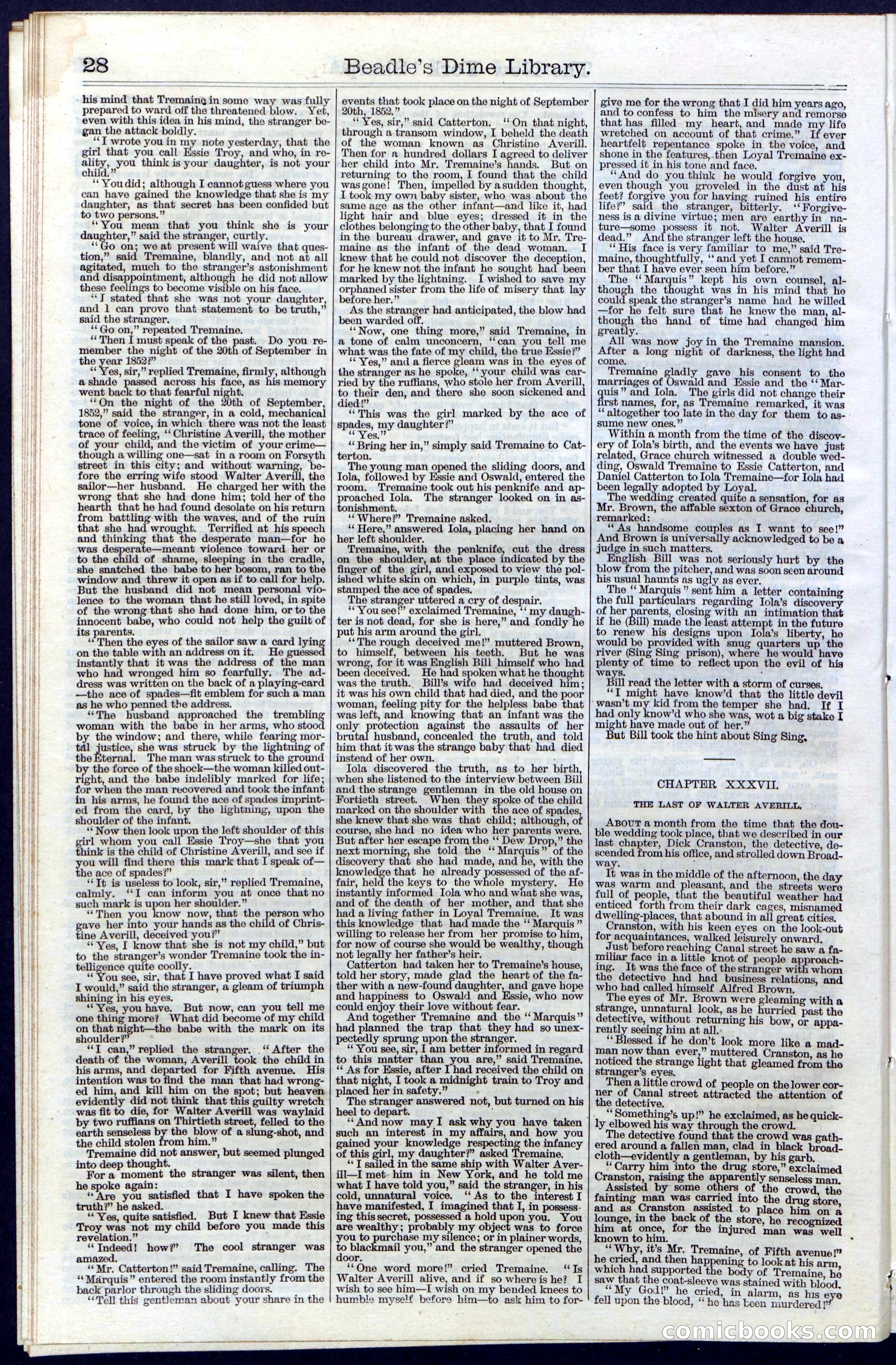 Beadle's Dime Library, Vol. III, No. 31 — page 28 of 32