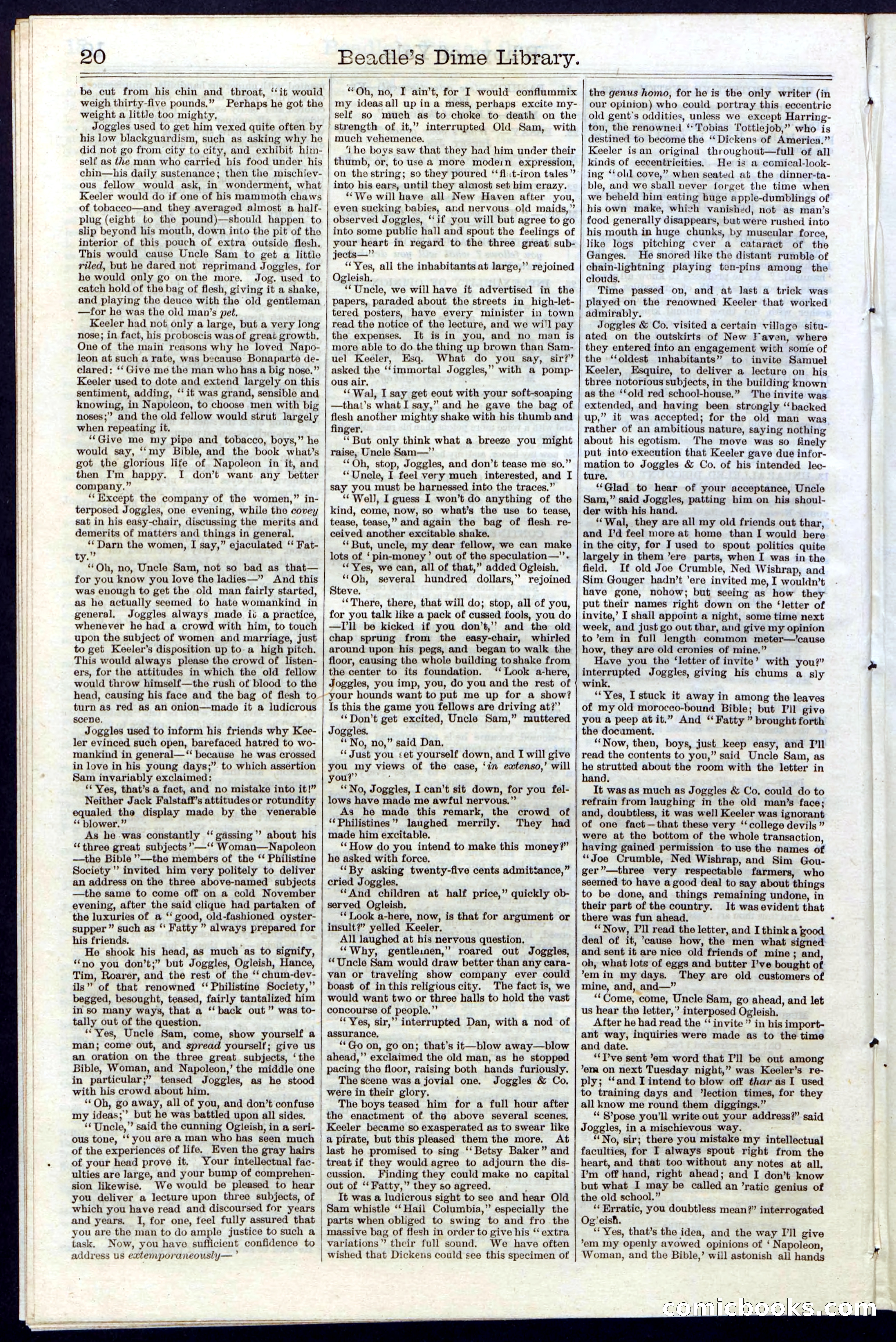 Beadle's New York Dime Library No. 32 — page 20 of 24