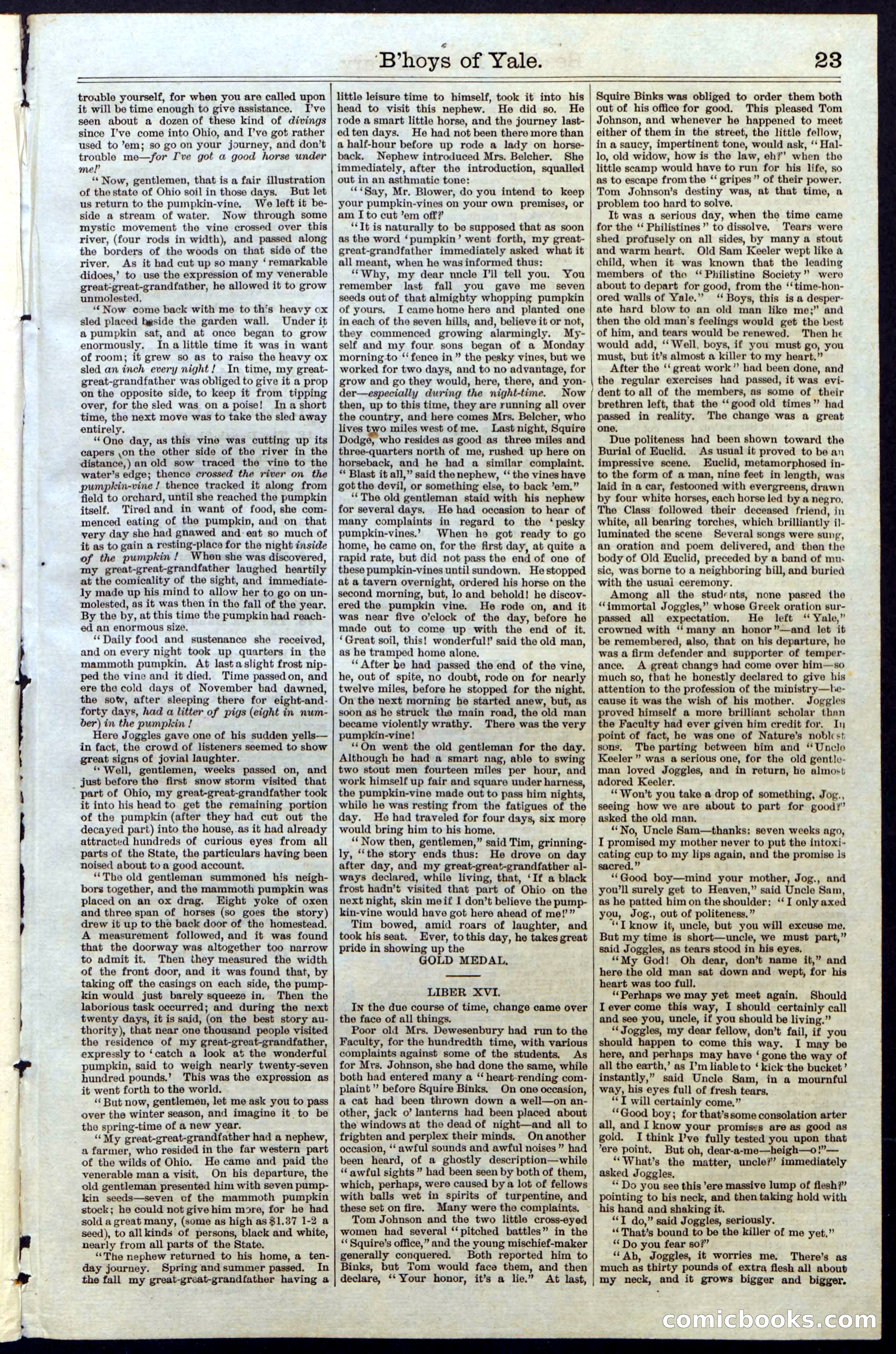 Beadle's New York Dime Library No. 32 — page 23 of 24