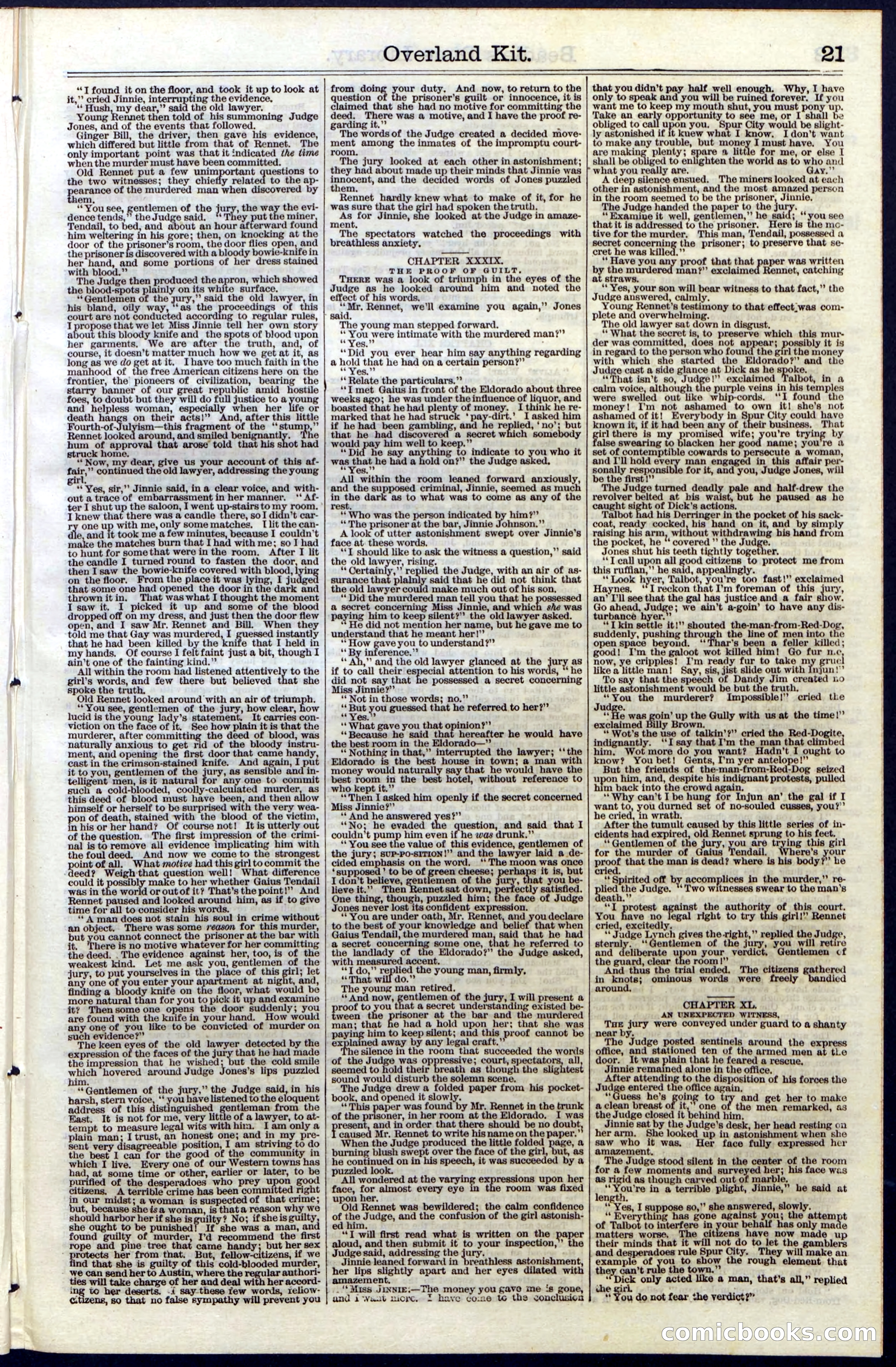 Beadle's Dime Library, Vol. III, No. 33 — page 21 of 24