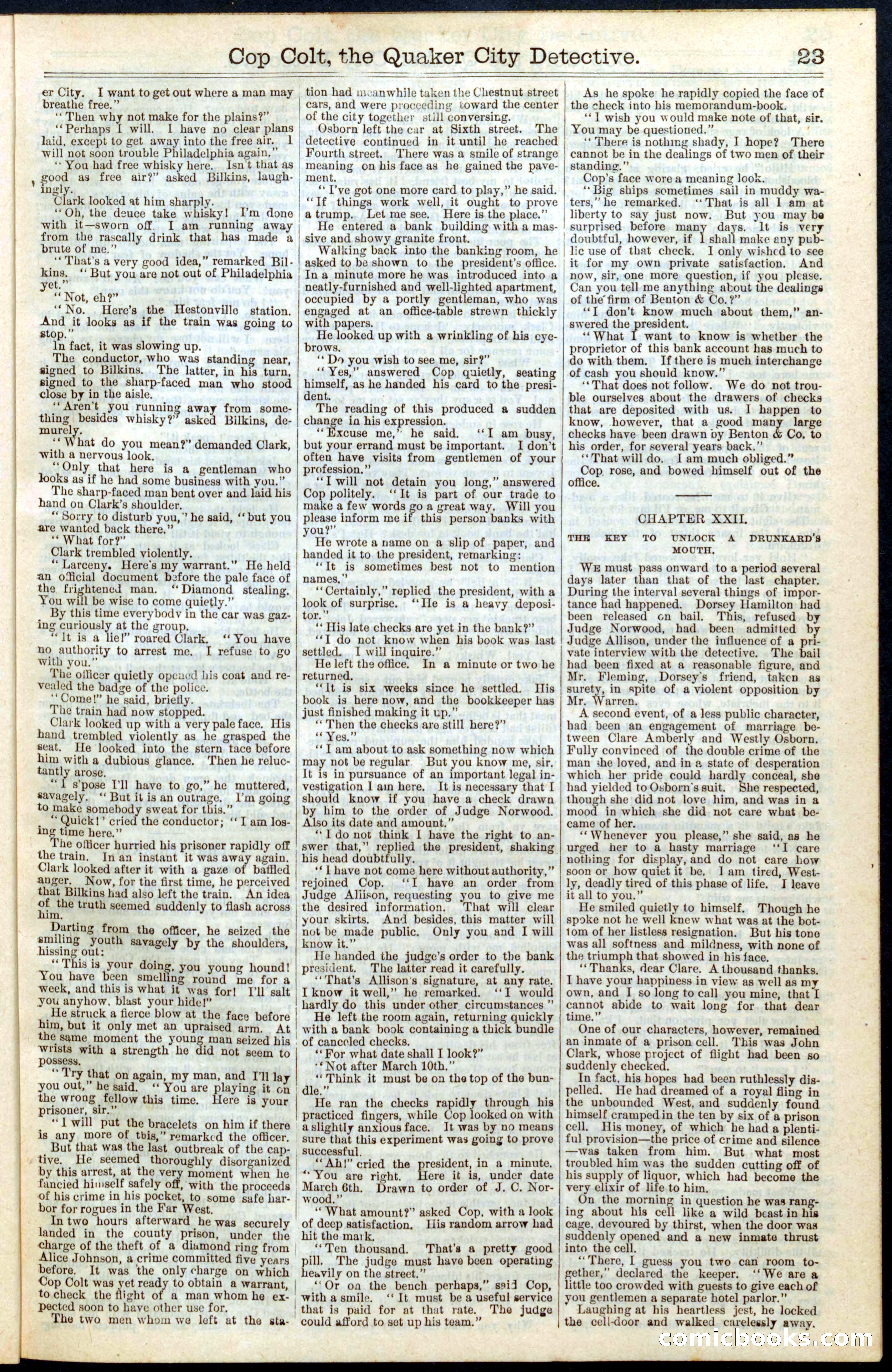 Beadle's New York Dime Library No. 330 — page 23 of 32