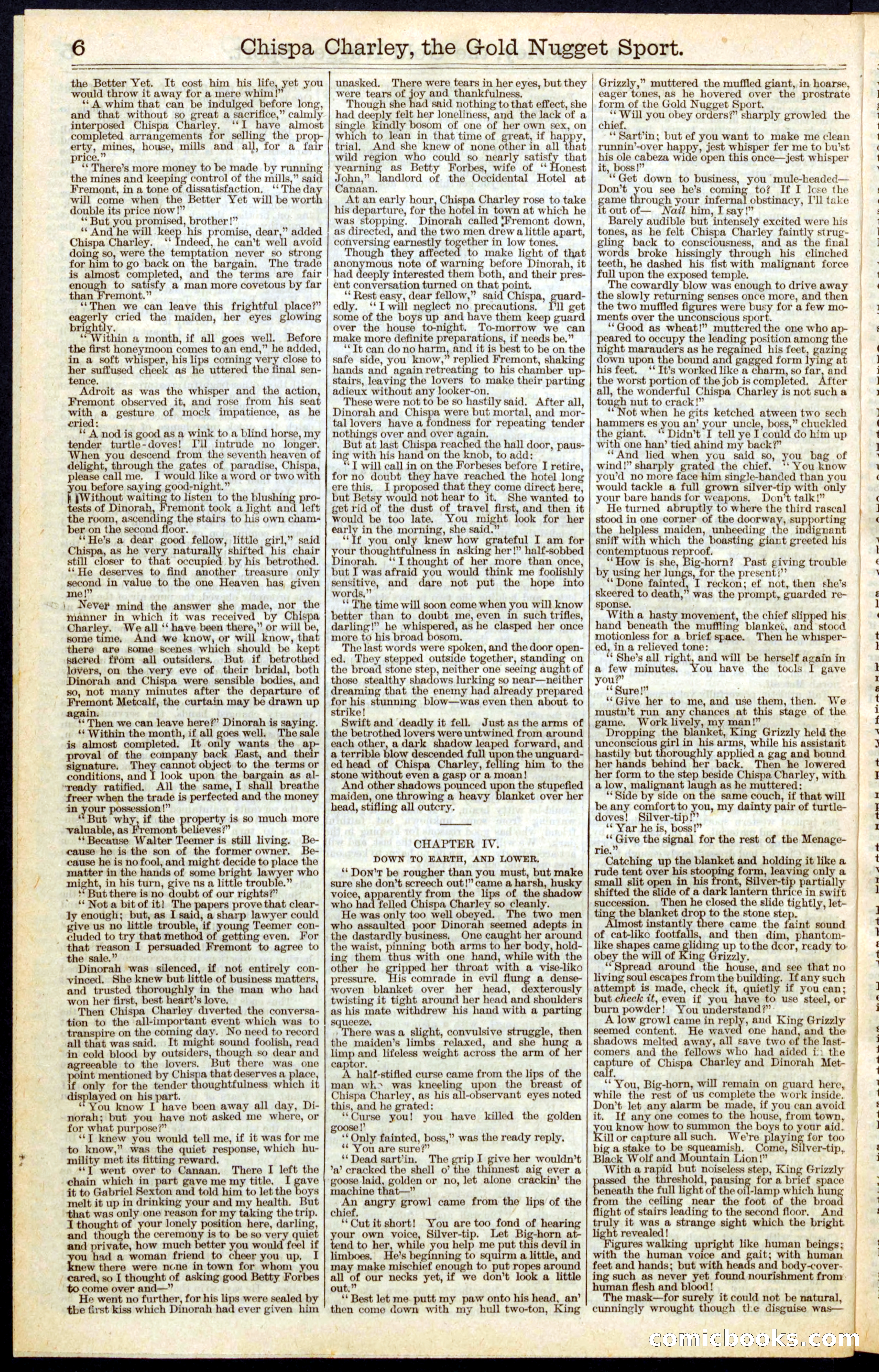 Beadle's Dime Library No. 331 — page 6 of 32
