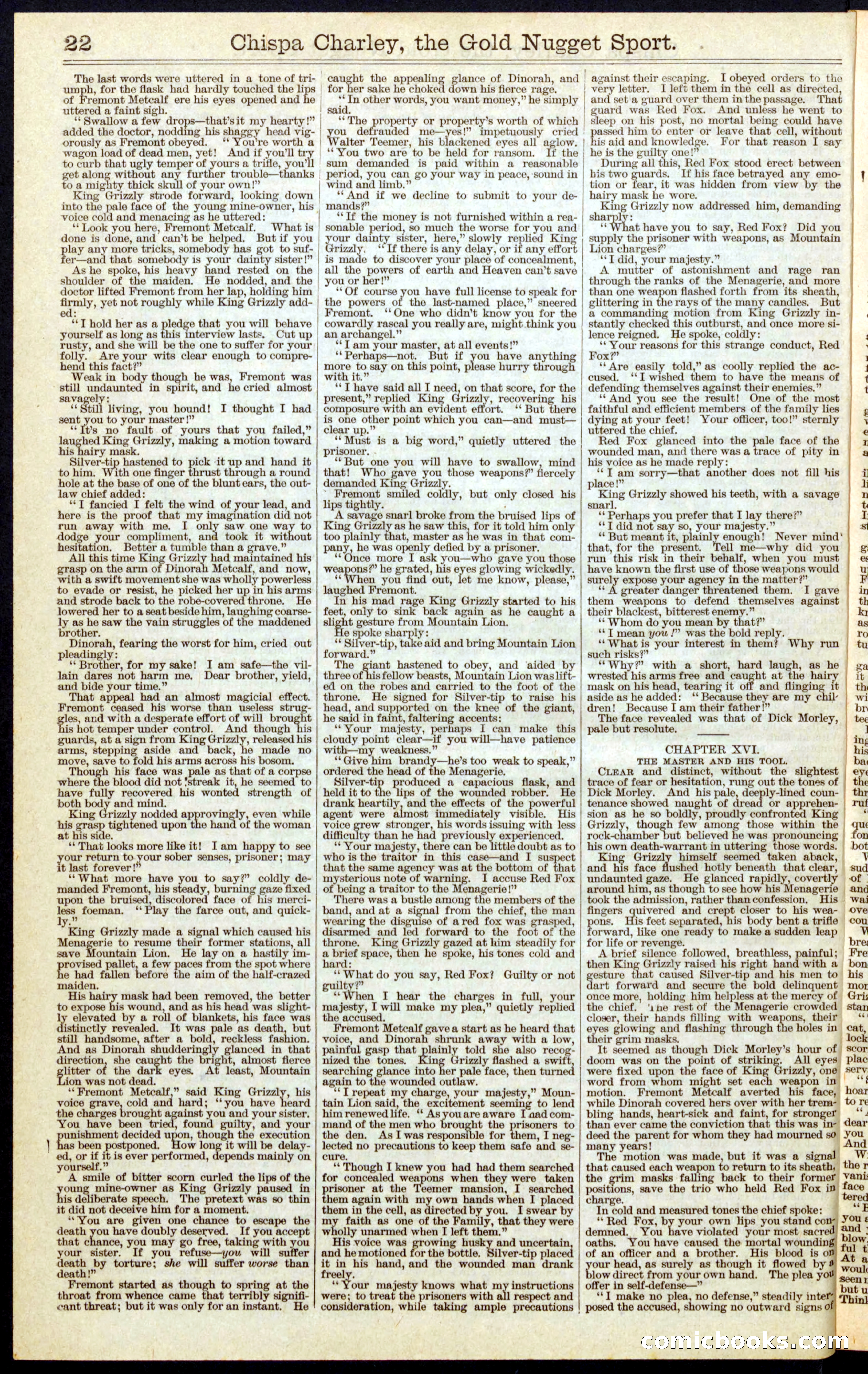 Beadle's Dime Library No. 331 — page 22 of 32