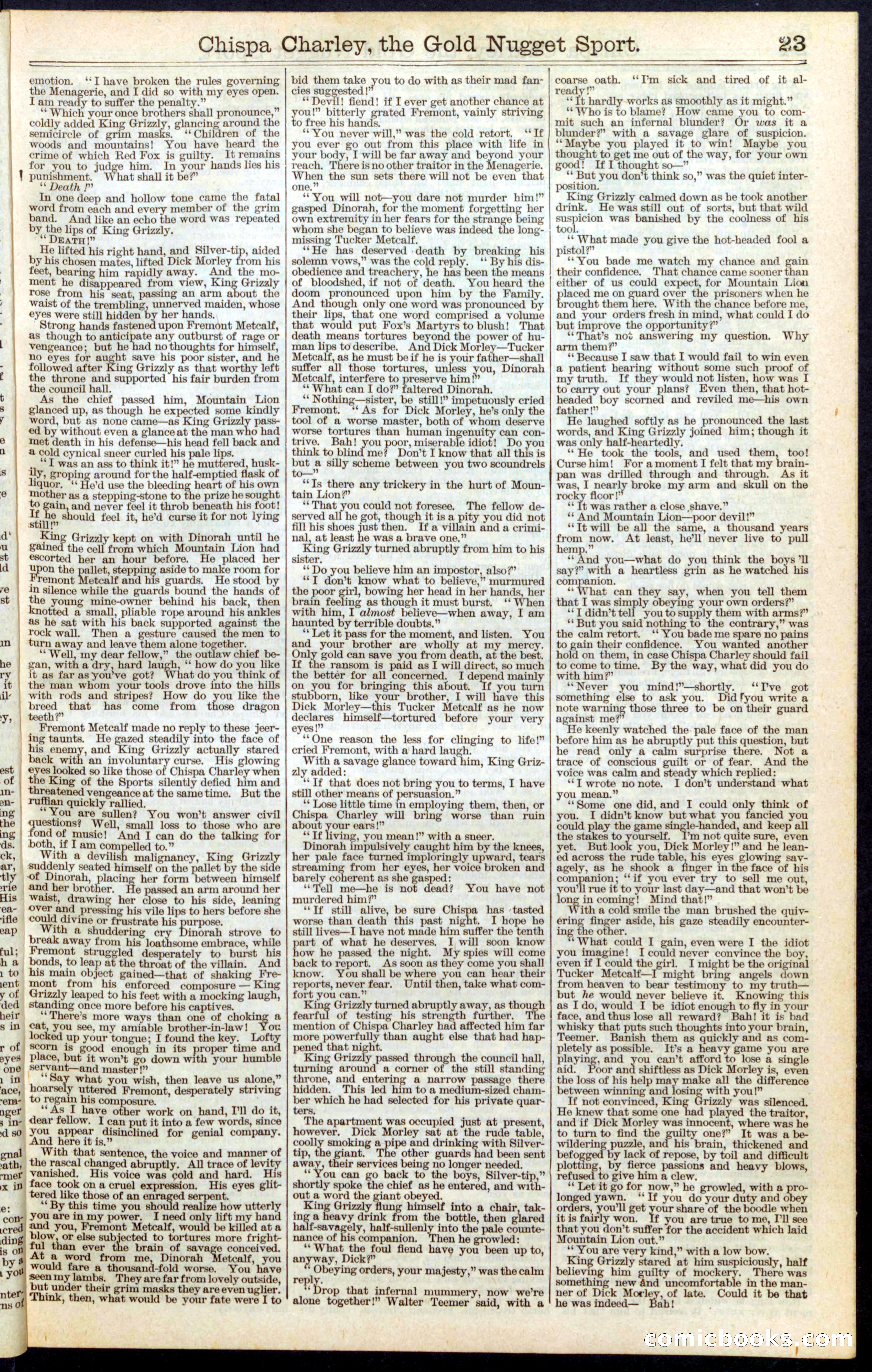 Beadle's Dime Library No. 331 — page 23 of 32
