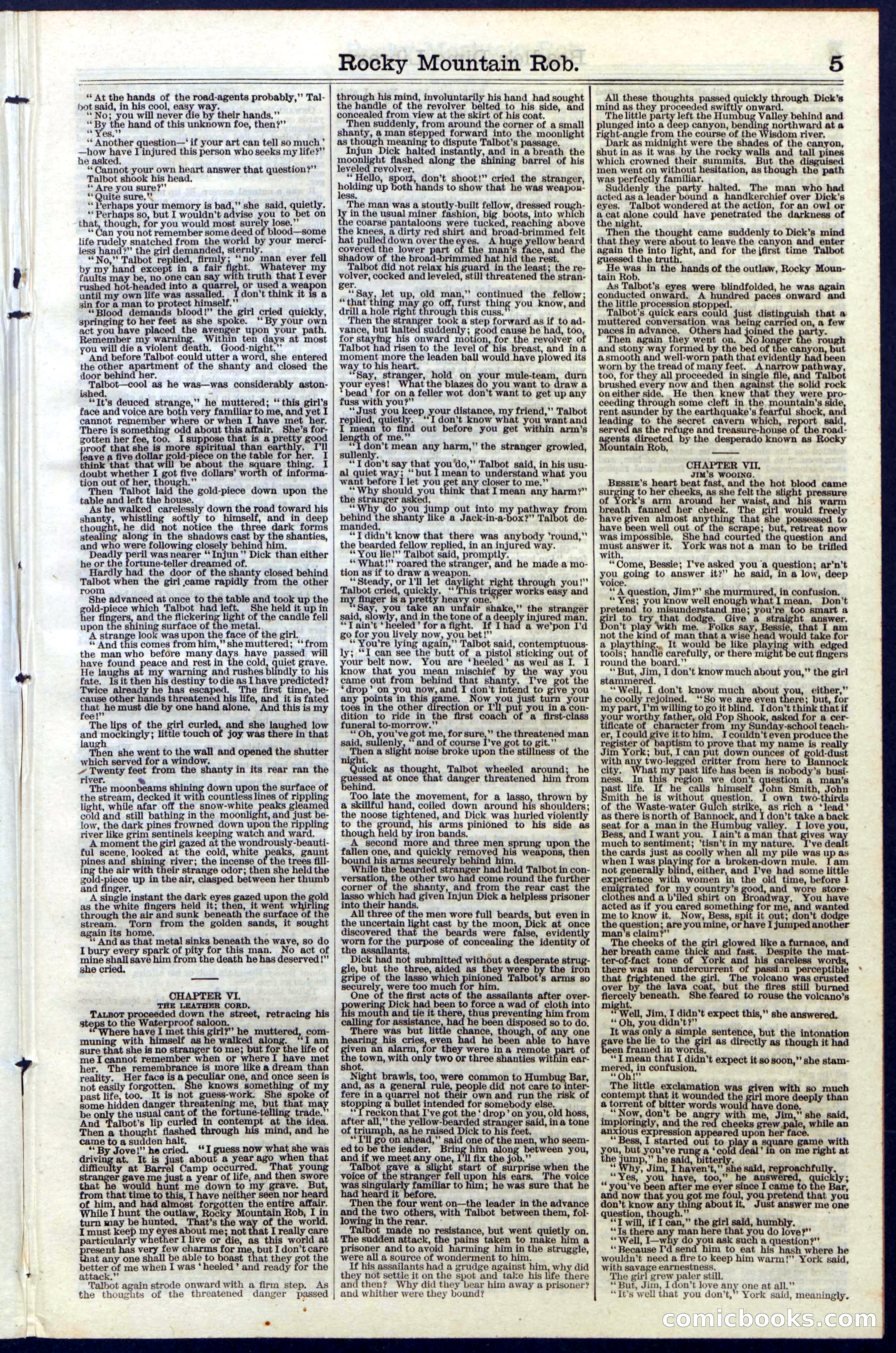 Beadle's New York Dime Library, Vol. III, No. 34 — page 5 of 24