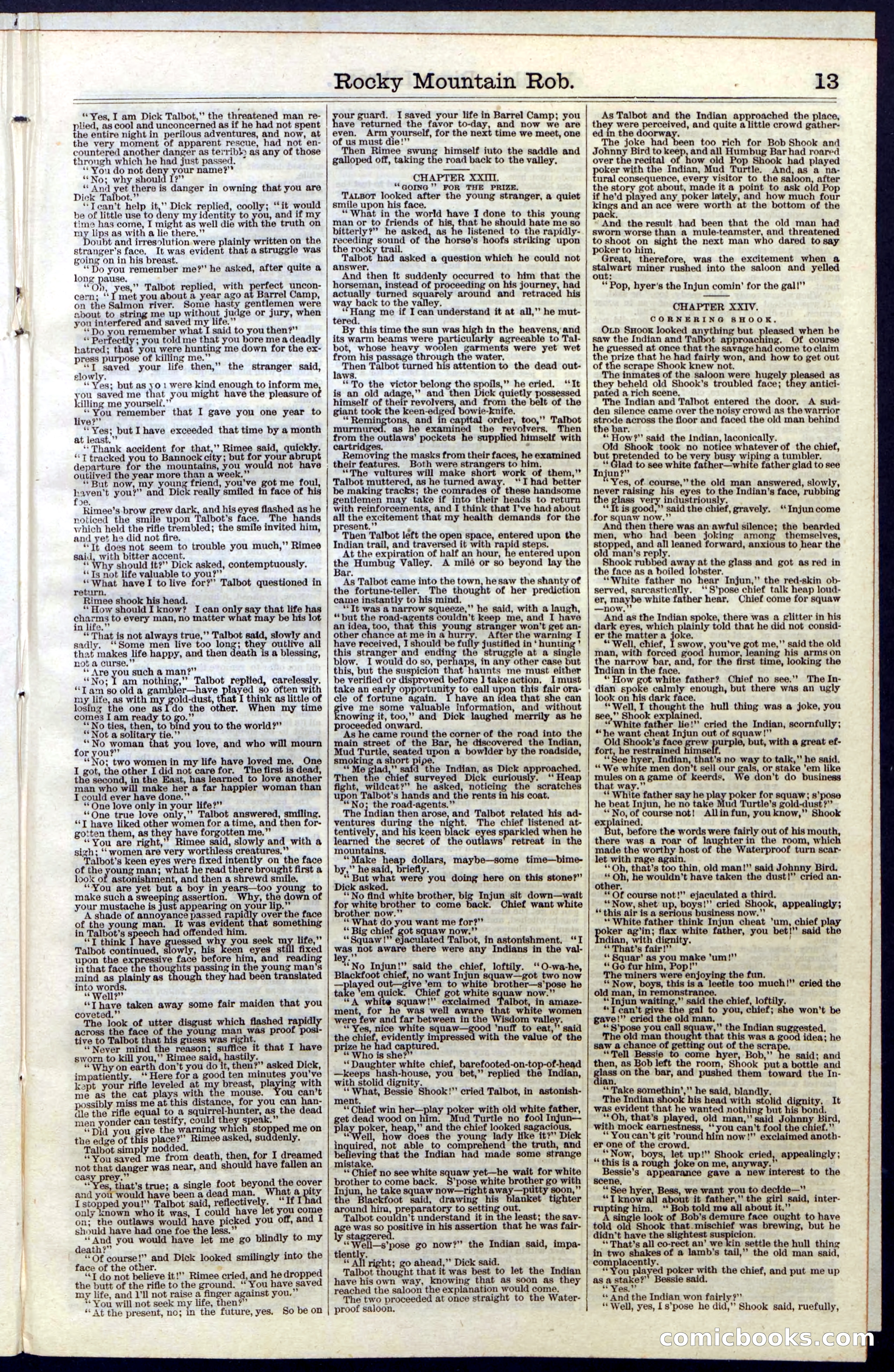 Beadle's New York Dime Library, Vol. III, No. 34 — page 13 of 24