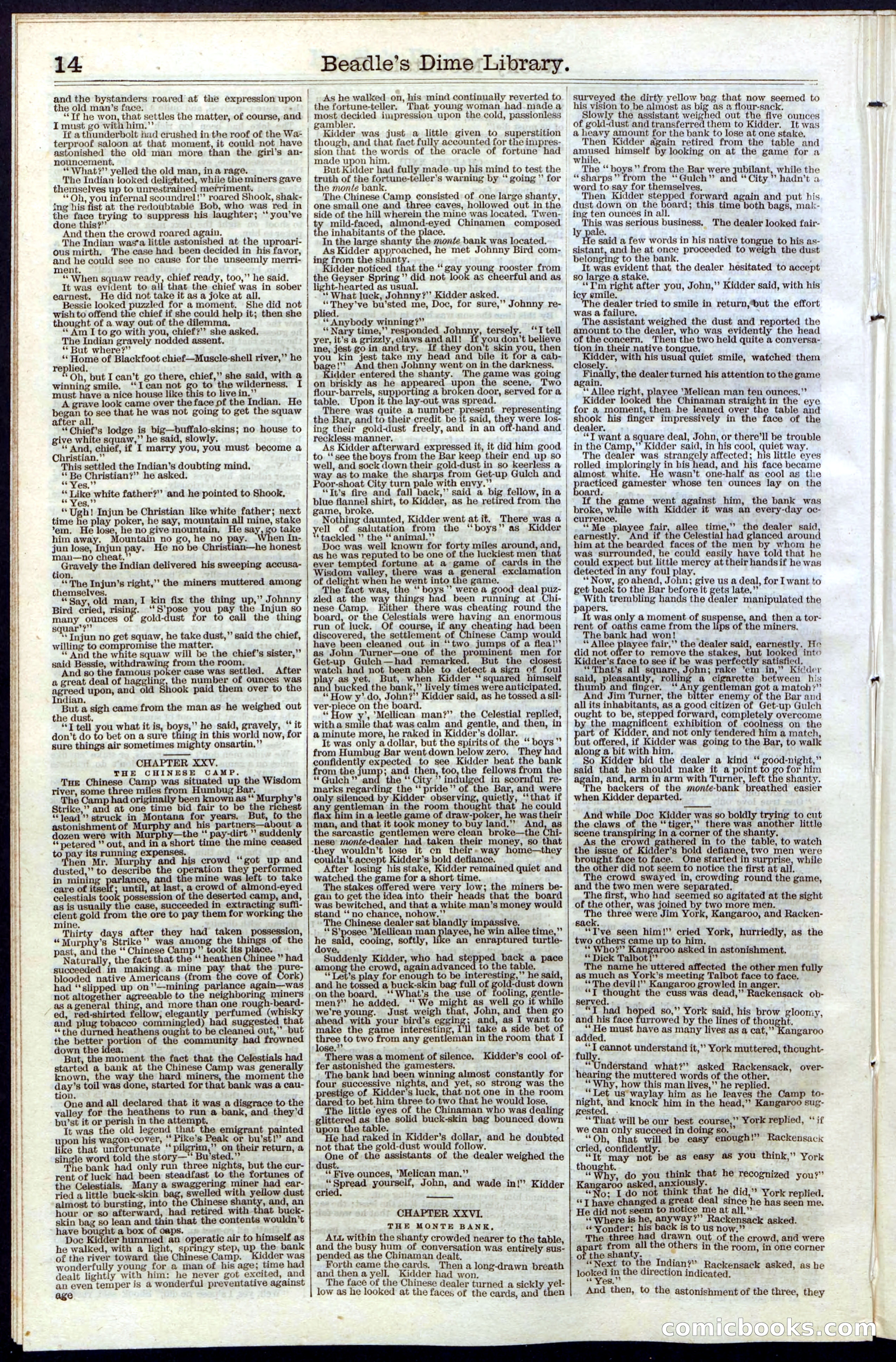Beadle's New York Dime Library, Vol. III, No. 34 — page 14 of 24