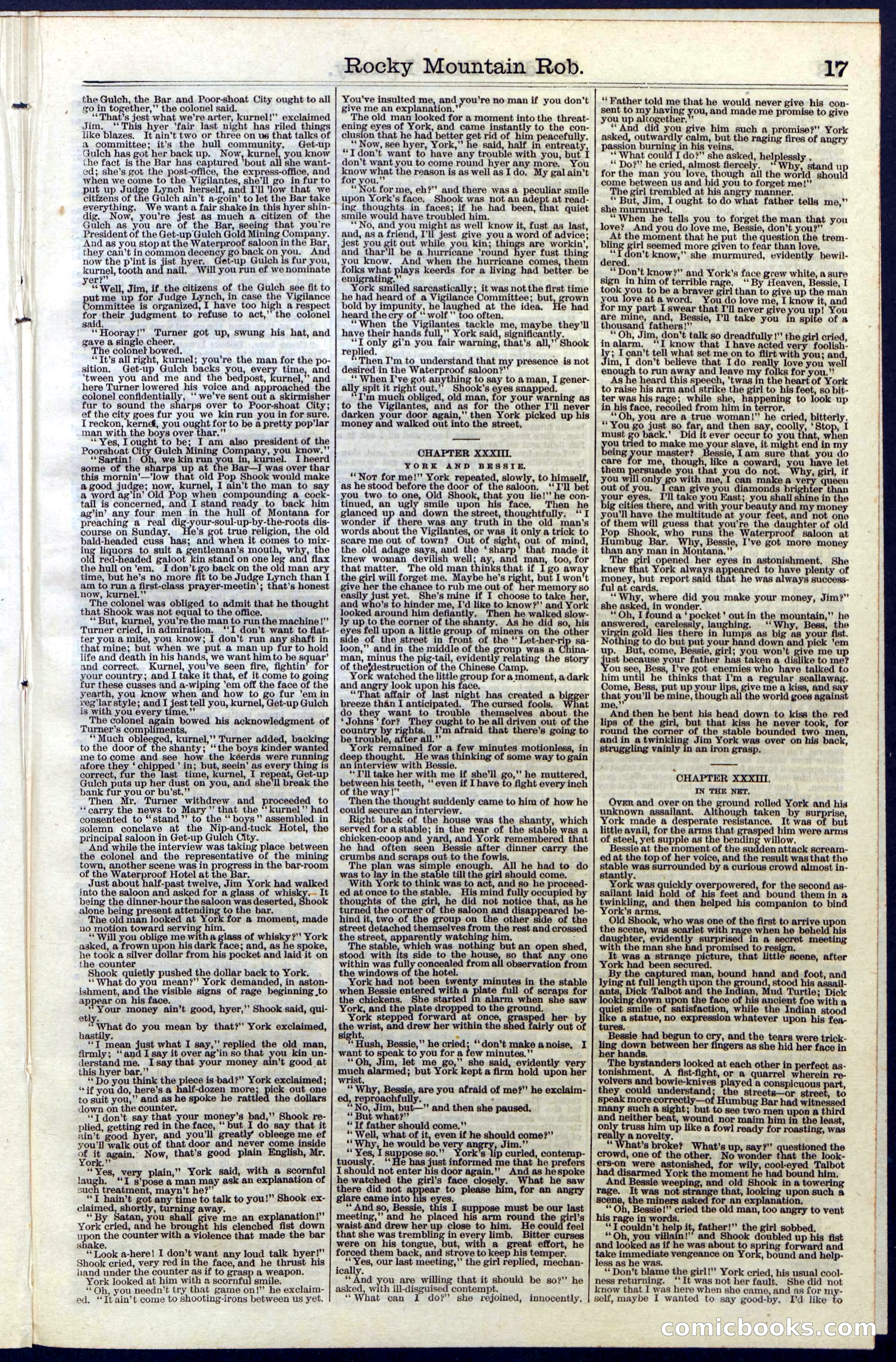 Beadle's New York Dime Library, Vol. III, No. 34 — page 17 of 24