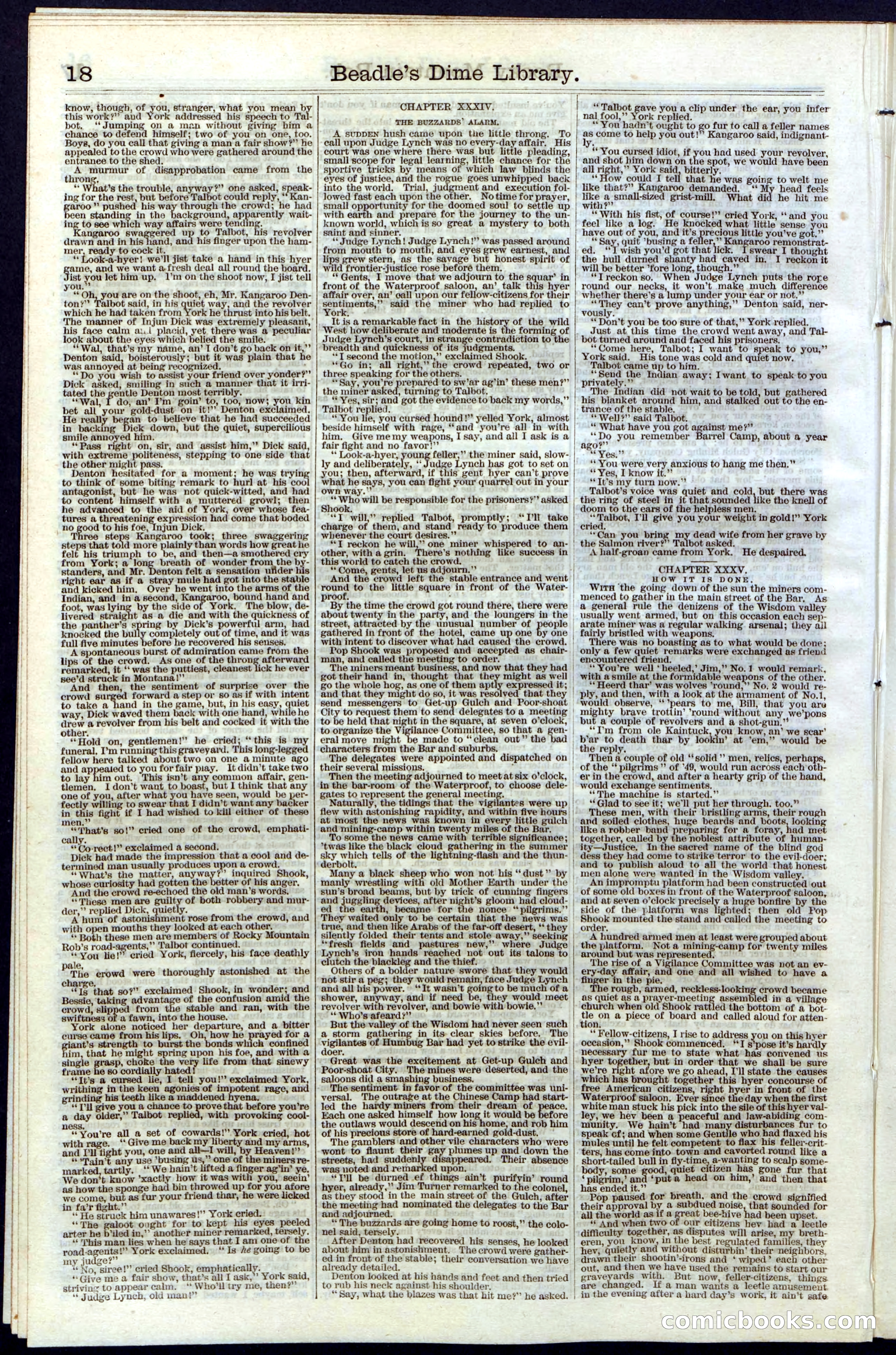 Beadle's New York Dime Library, Vol. III, No. 34 — page 18 of 24