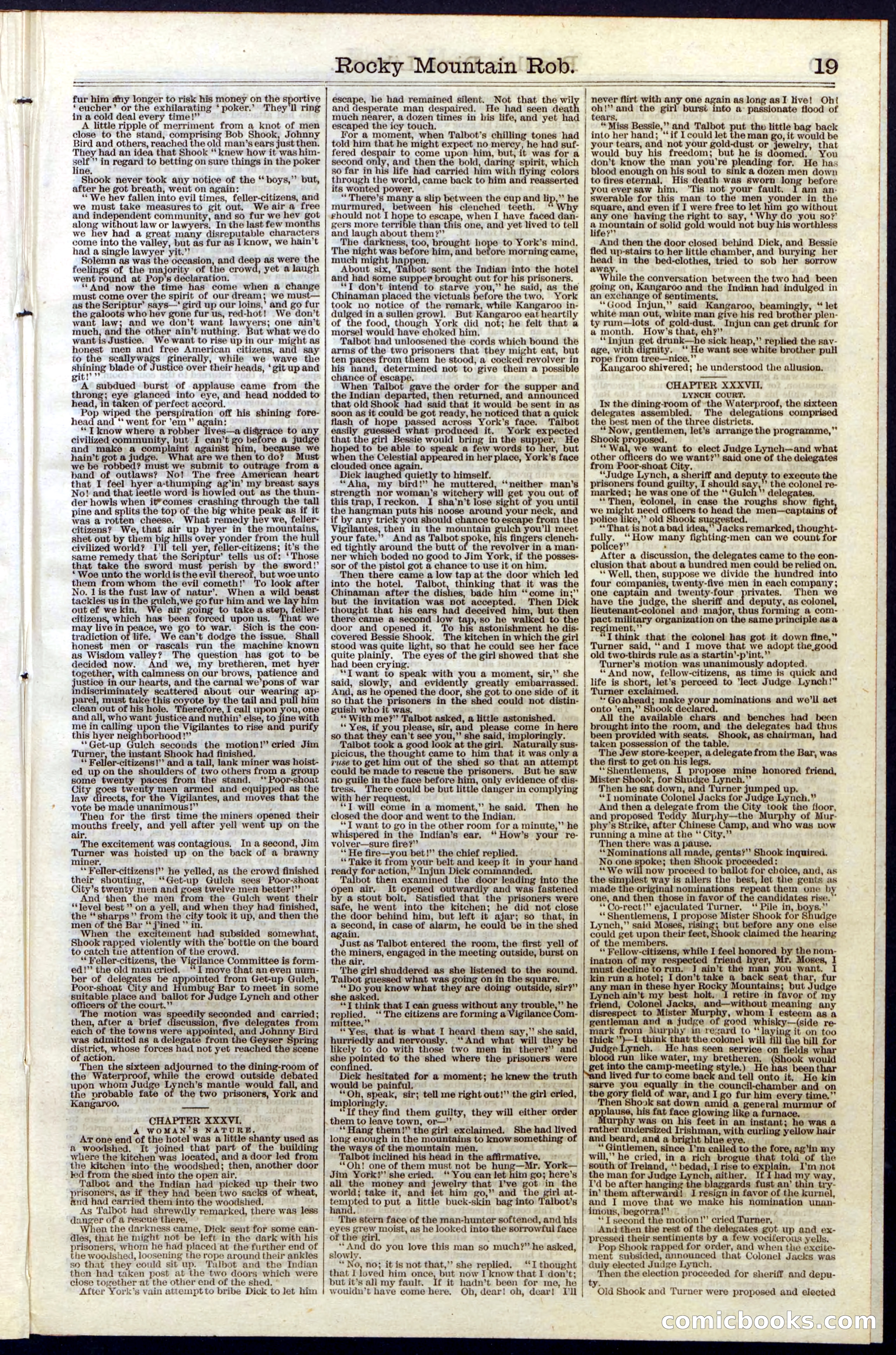 Beadle's New York Dime Library, Vol. III, No. 34 — page 19 of 24