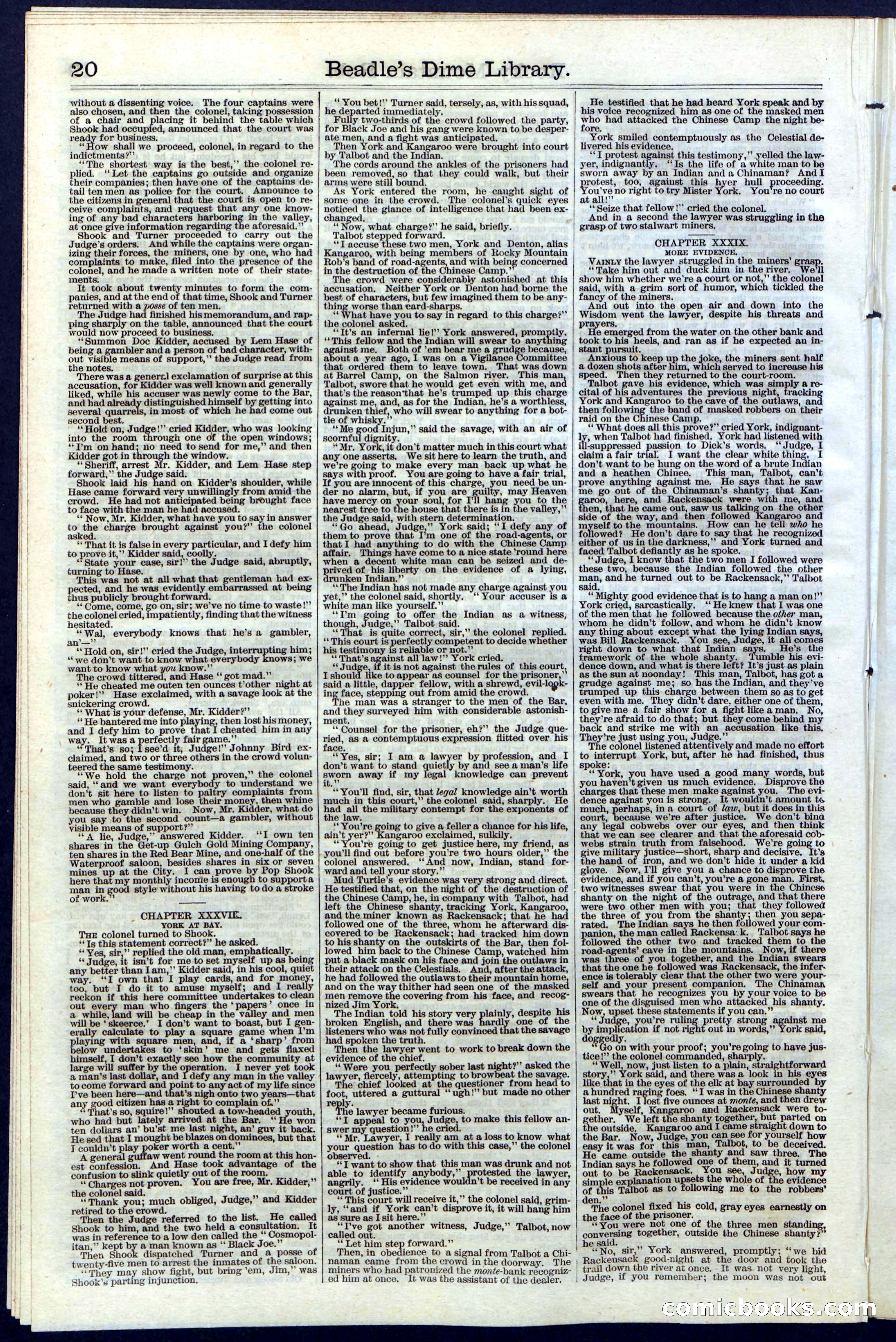 Beadle's New York Dime Library, Vol. III, No. 34 — page 20 of 24