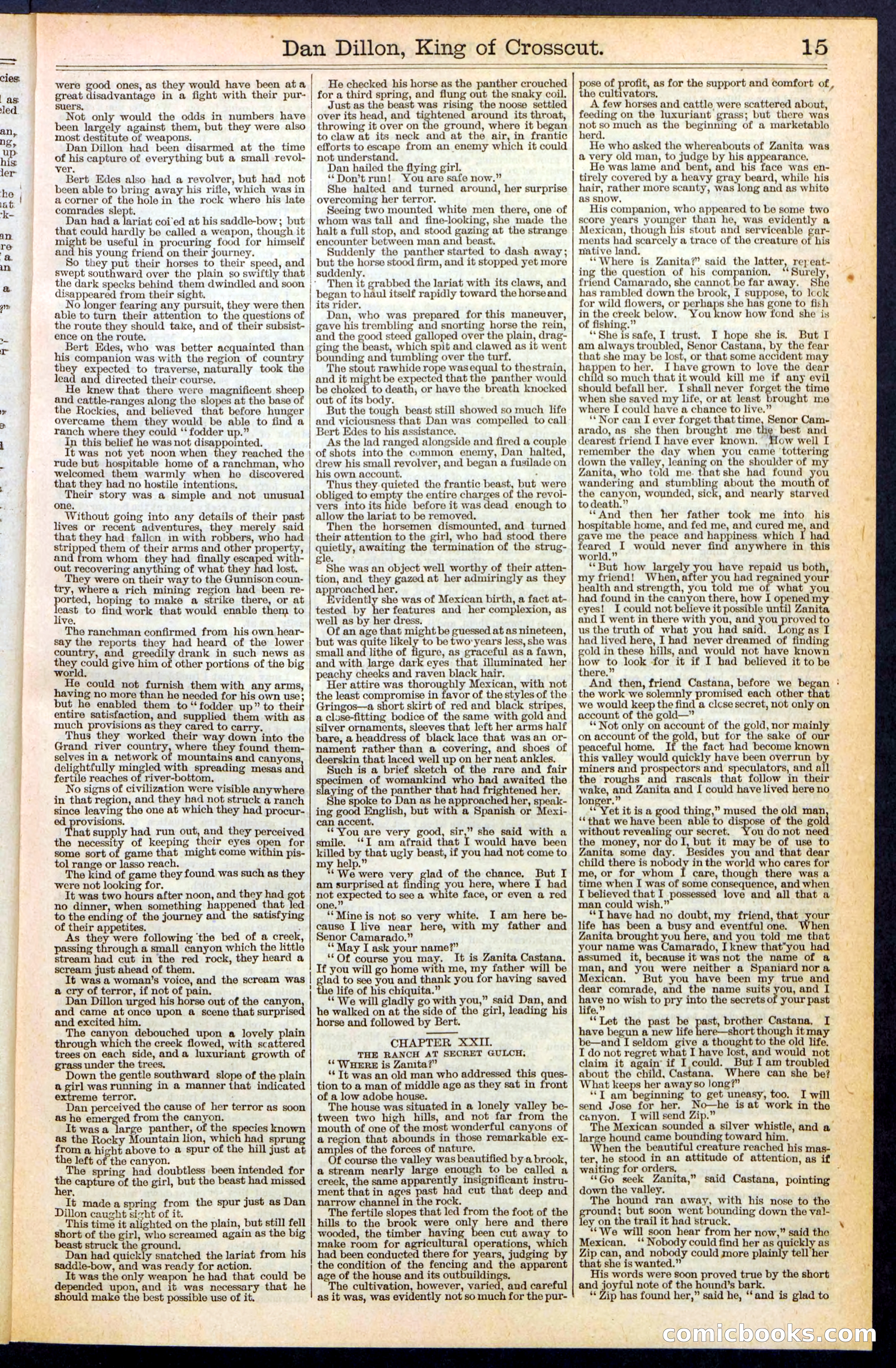 Beadle's Dime Library, No. 348 — page 15 of 32
