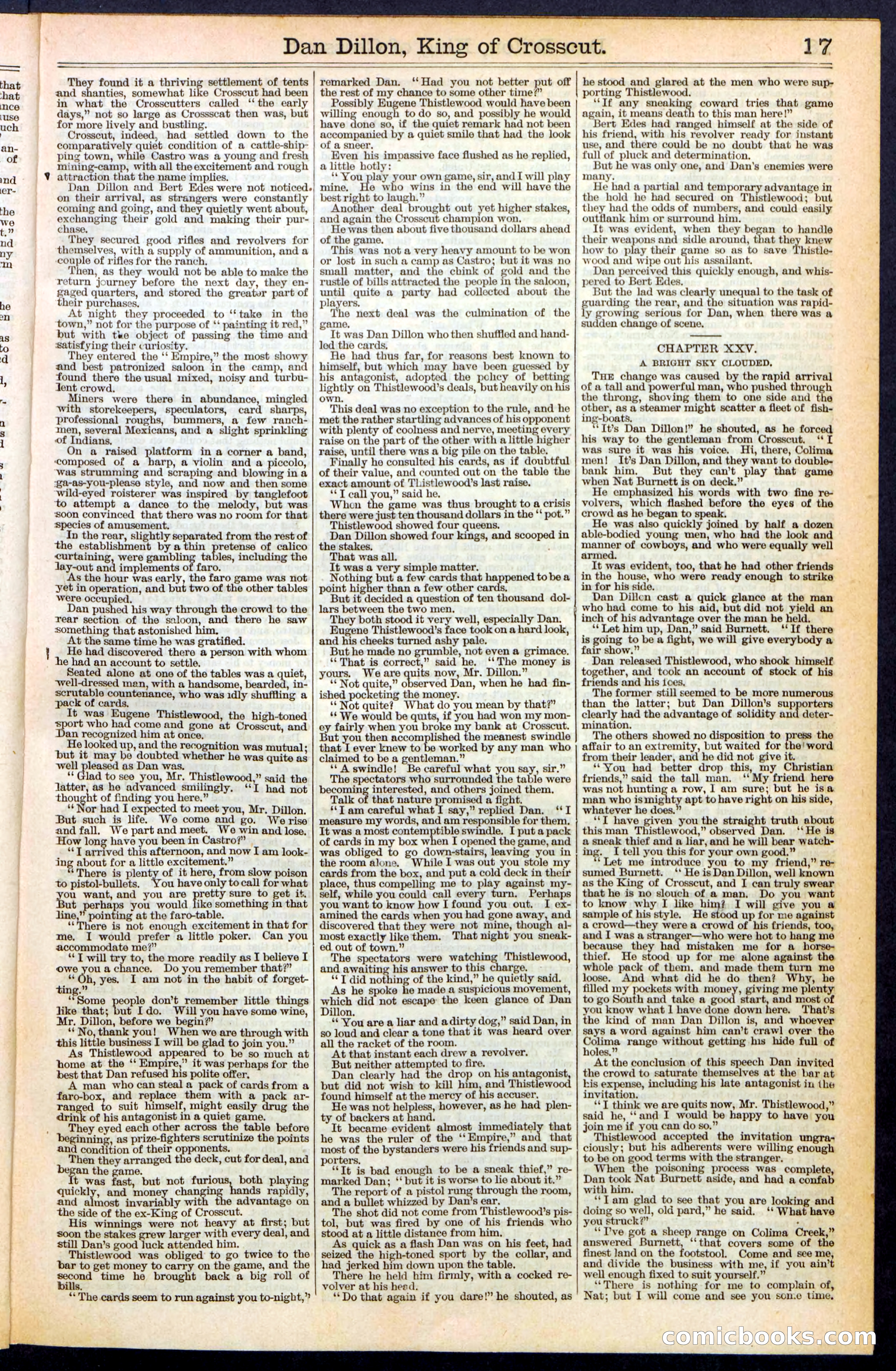 Beadle's Dime Library, No. 348 — page 17 of 32
