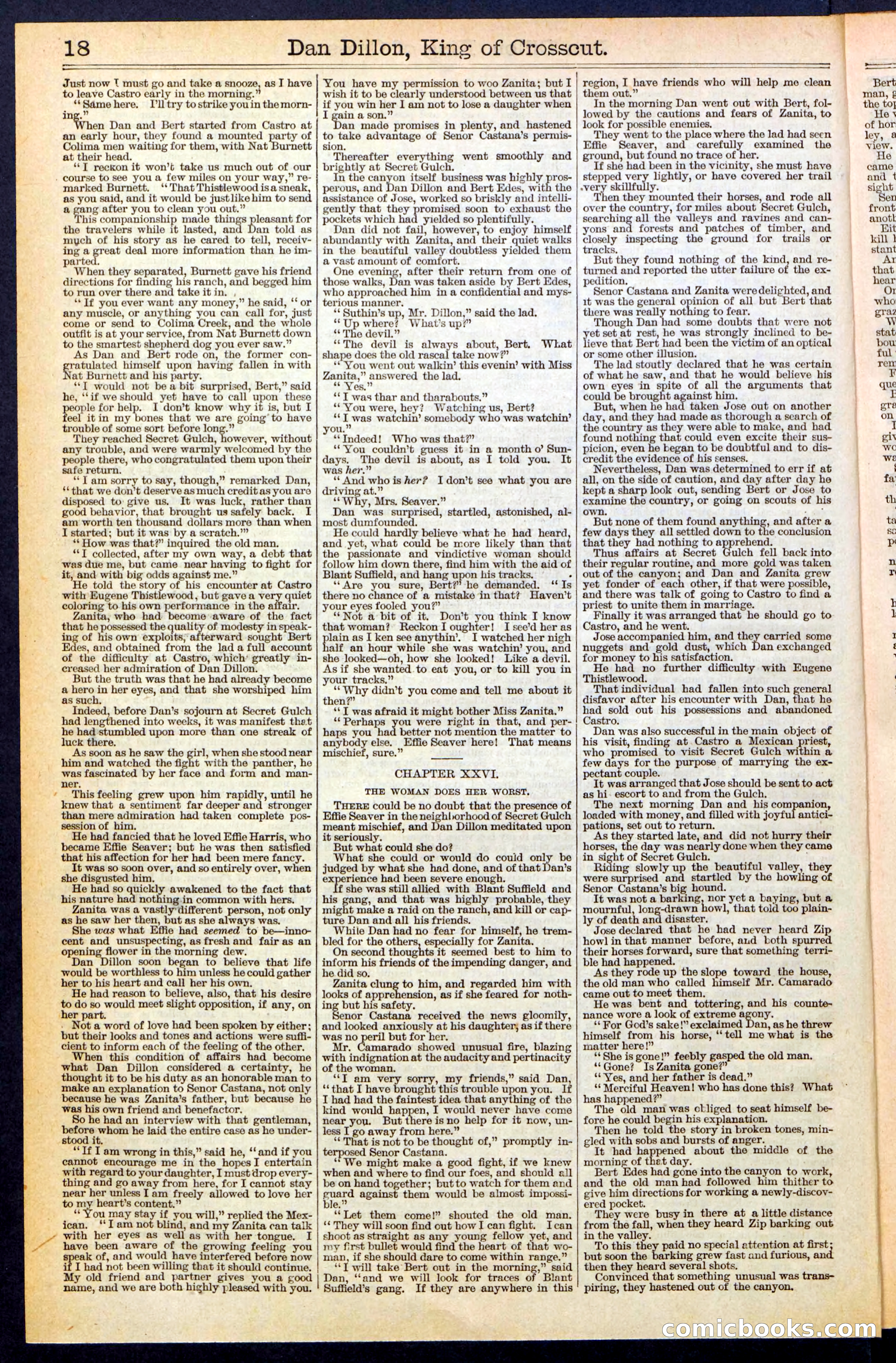 Beadle's Dime Library, No. 348 — page 18 of 32