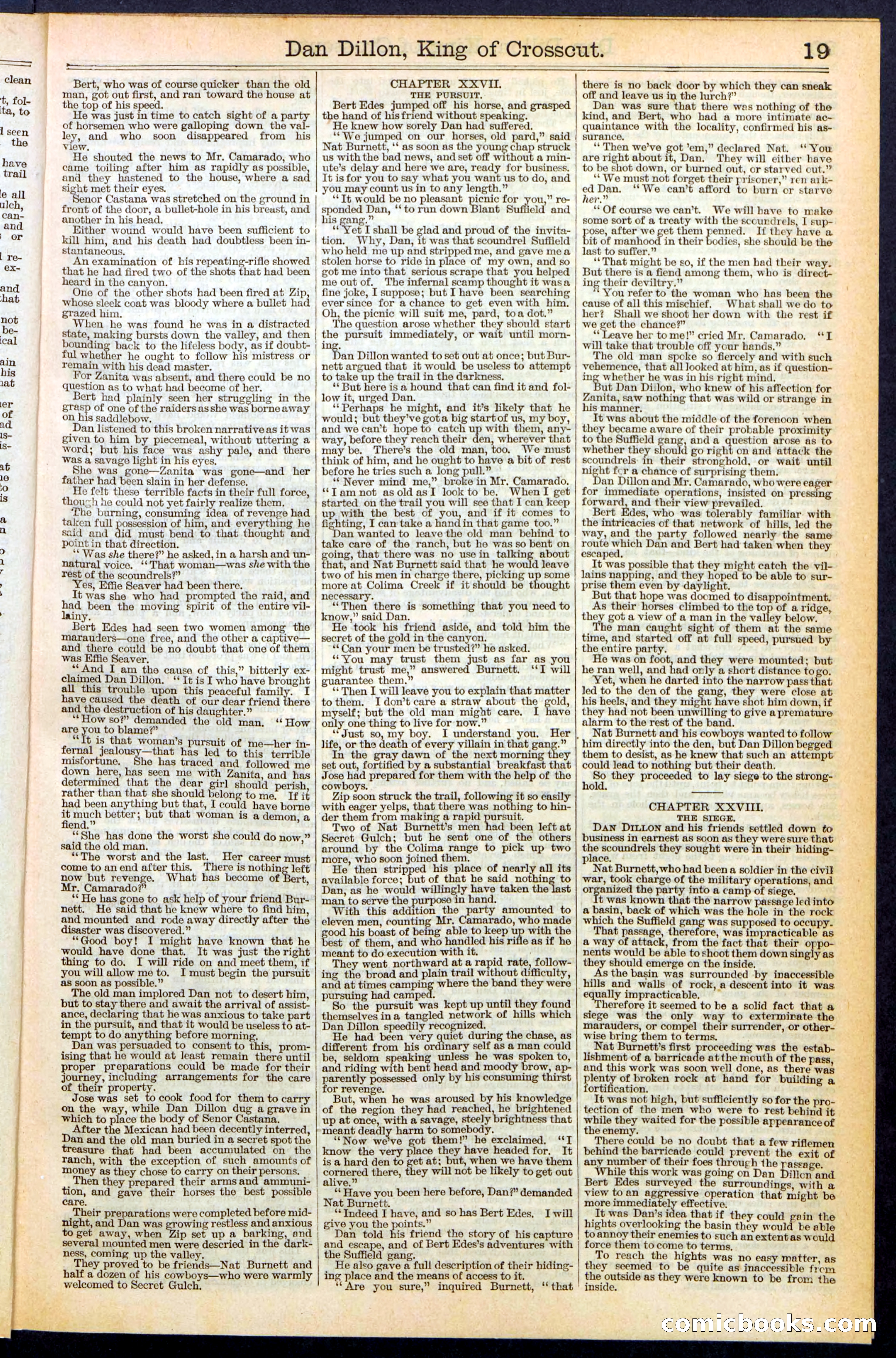 Beadle's Dime Library, No. 348 — page 19 of 32