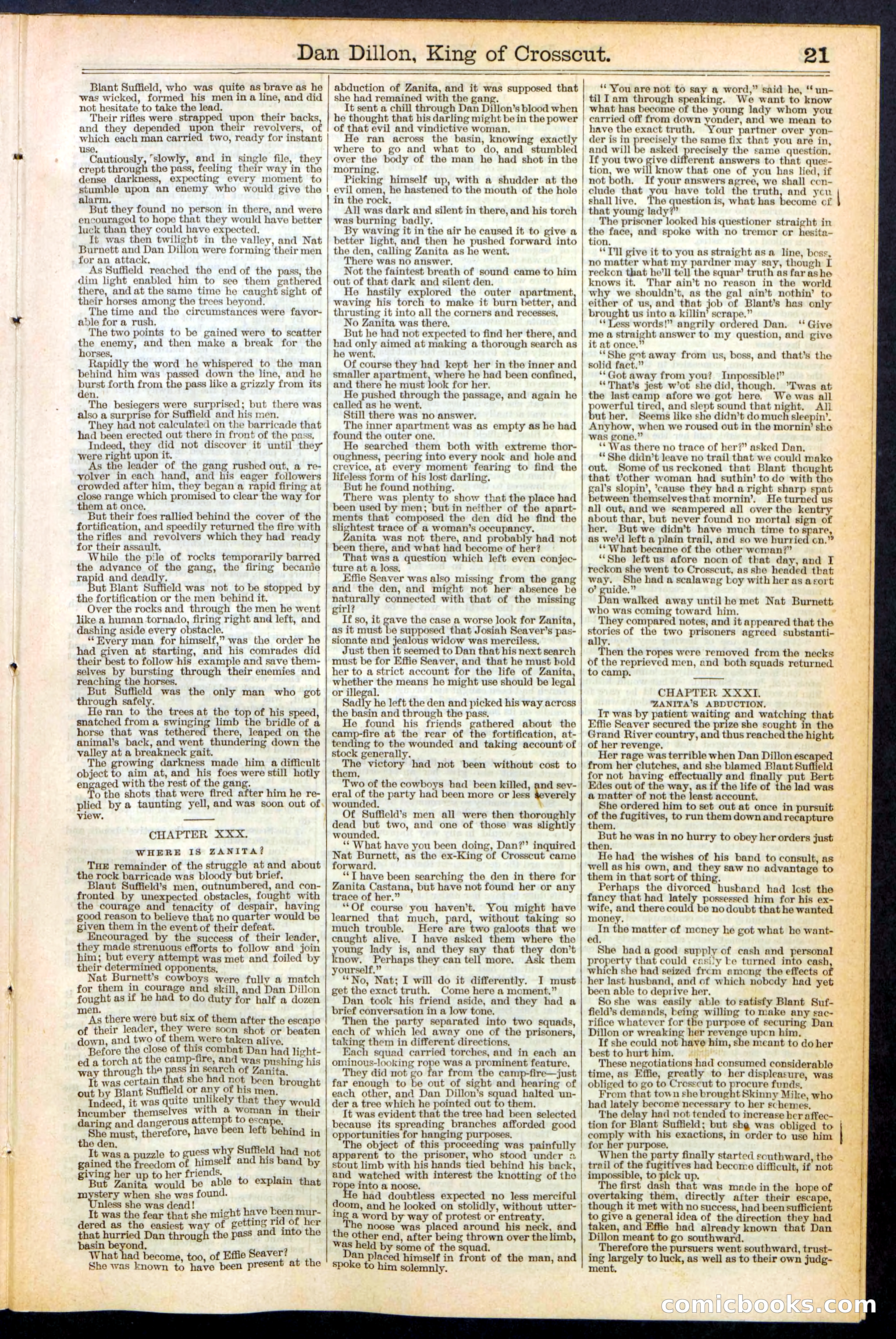 Beadle's Dime Library, No. 348 — page 21 of 32