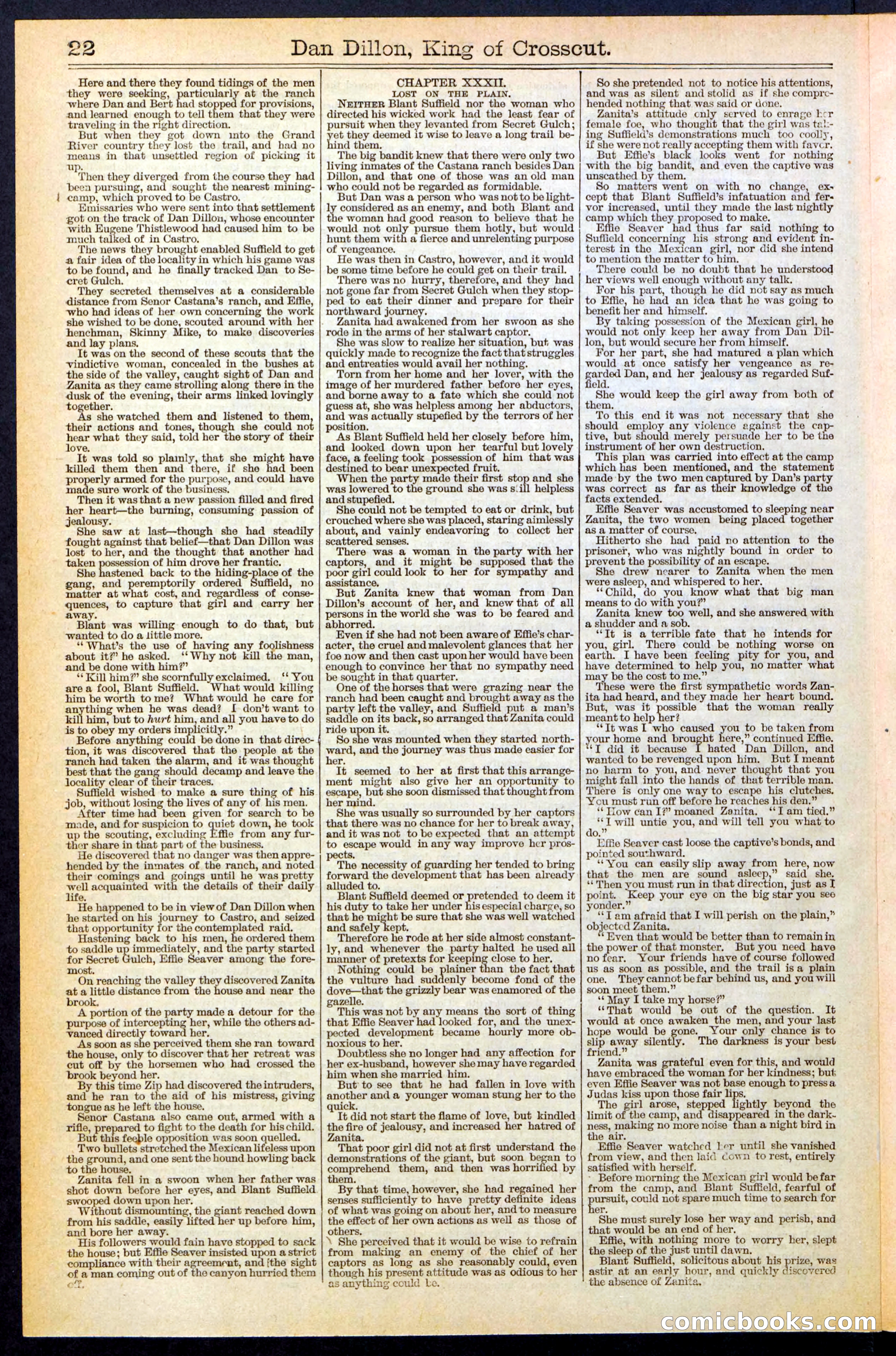 Beadle's Dime Library, No. 348 — page 22 of 32