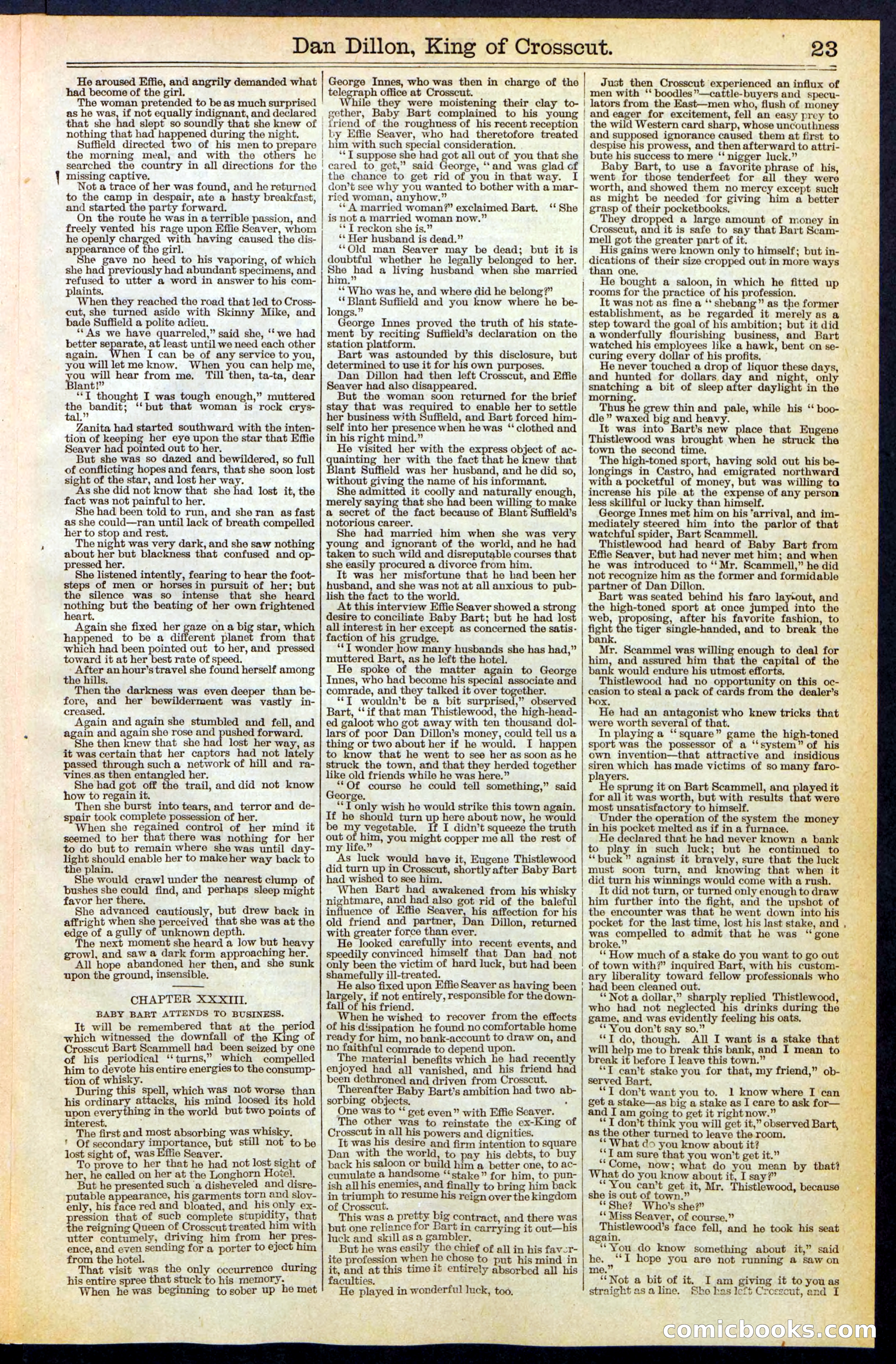 Beadle's Dime Library, No. 348 — page 23 of 32