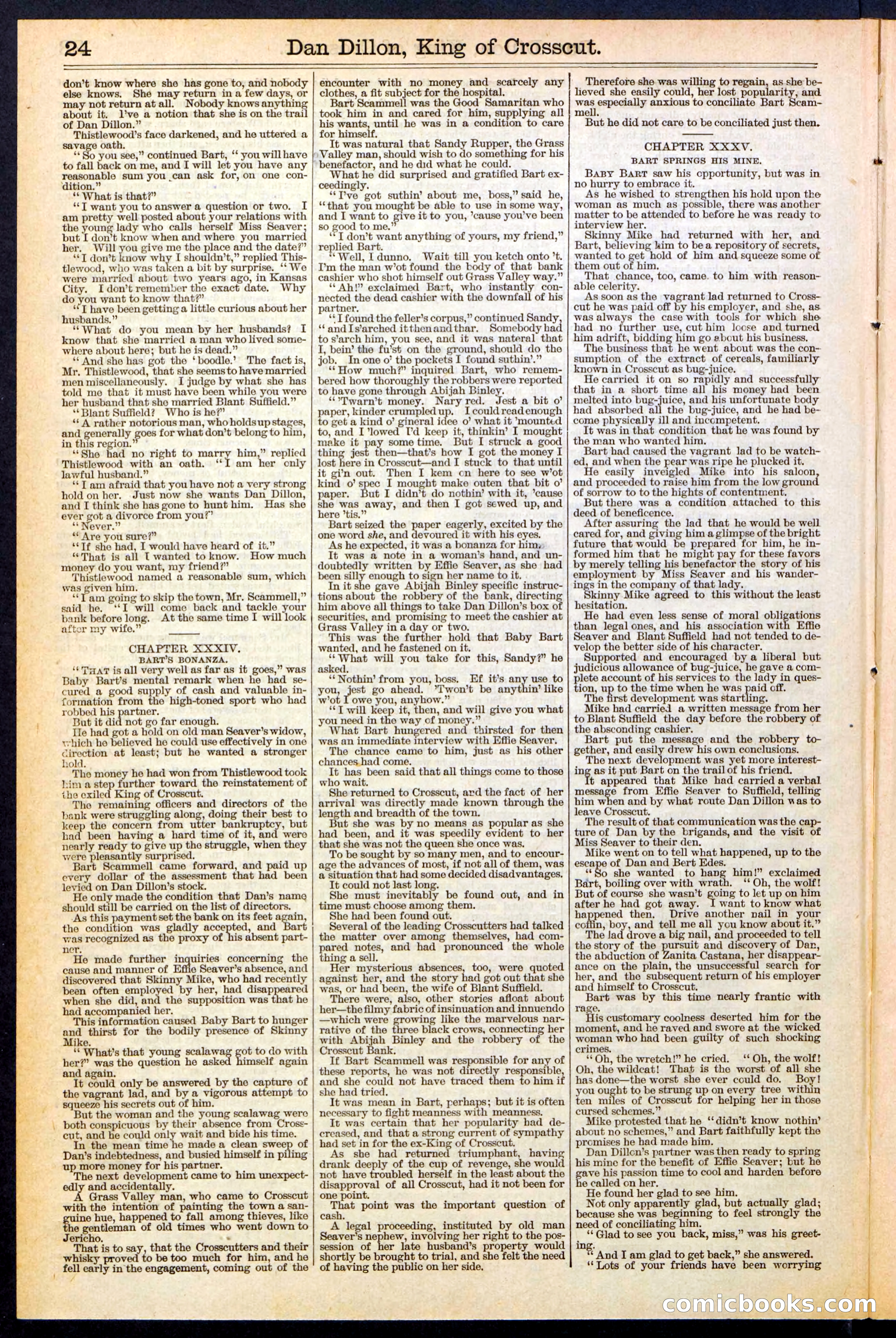 Beadle's Dime Library, No. 348 — page 24 of 32
