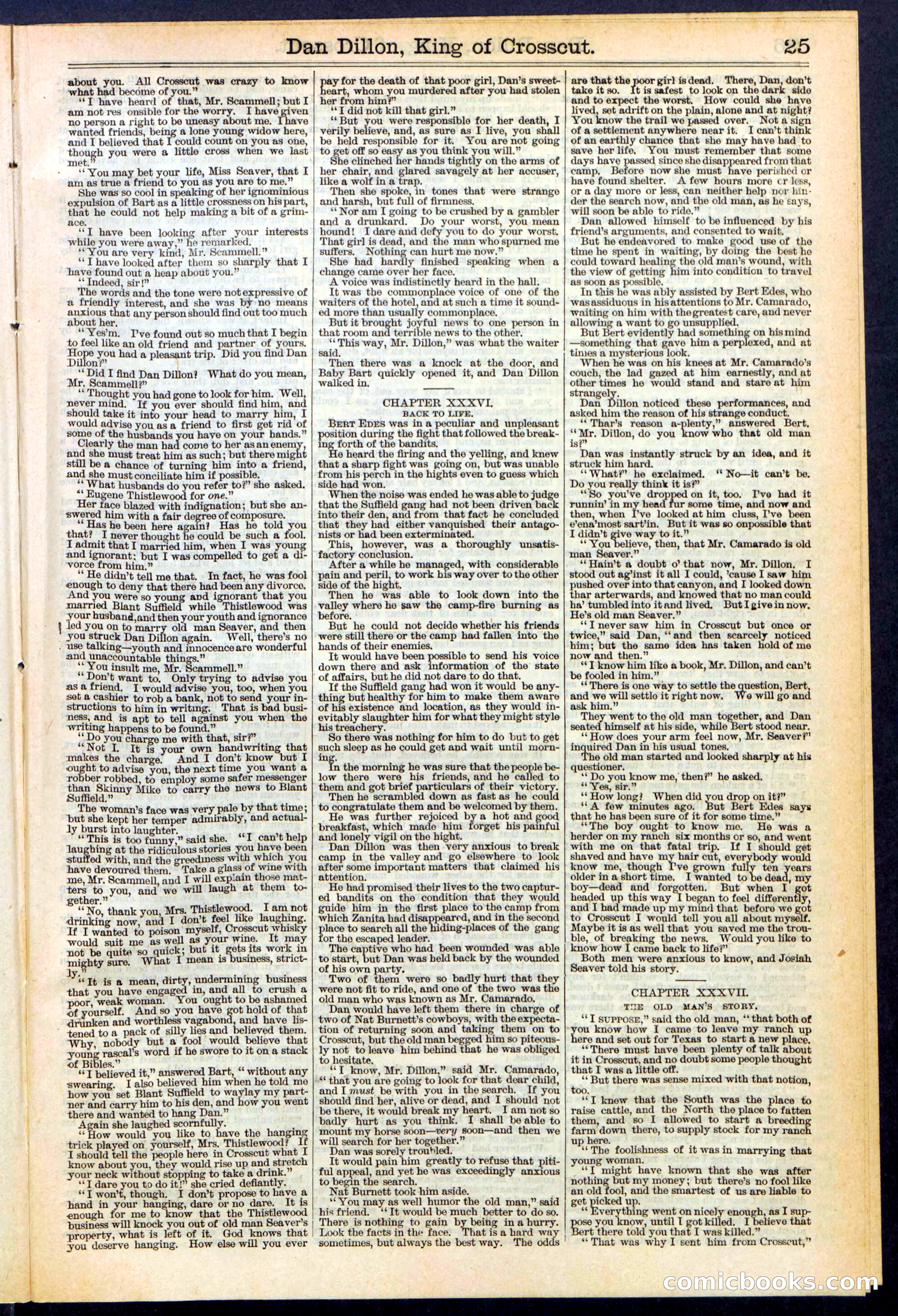 Beadle's Dime Library, No. 348 — page 25 of 32