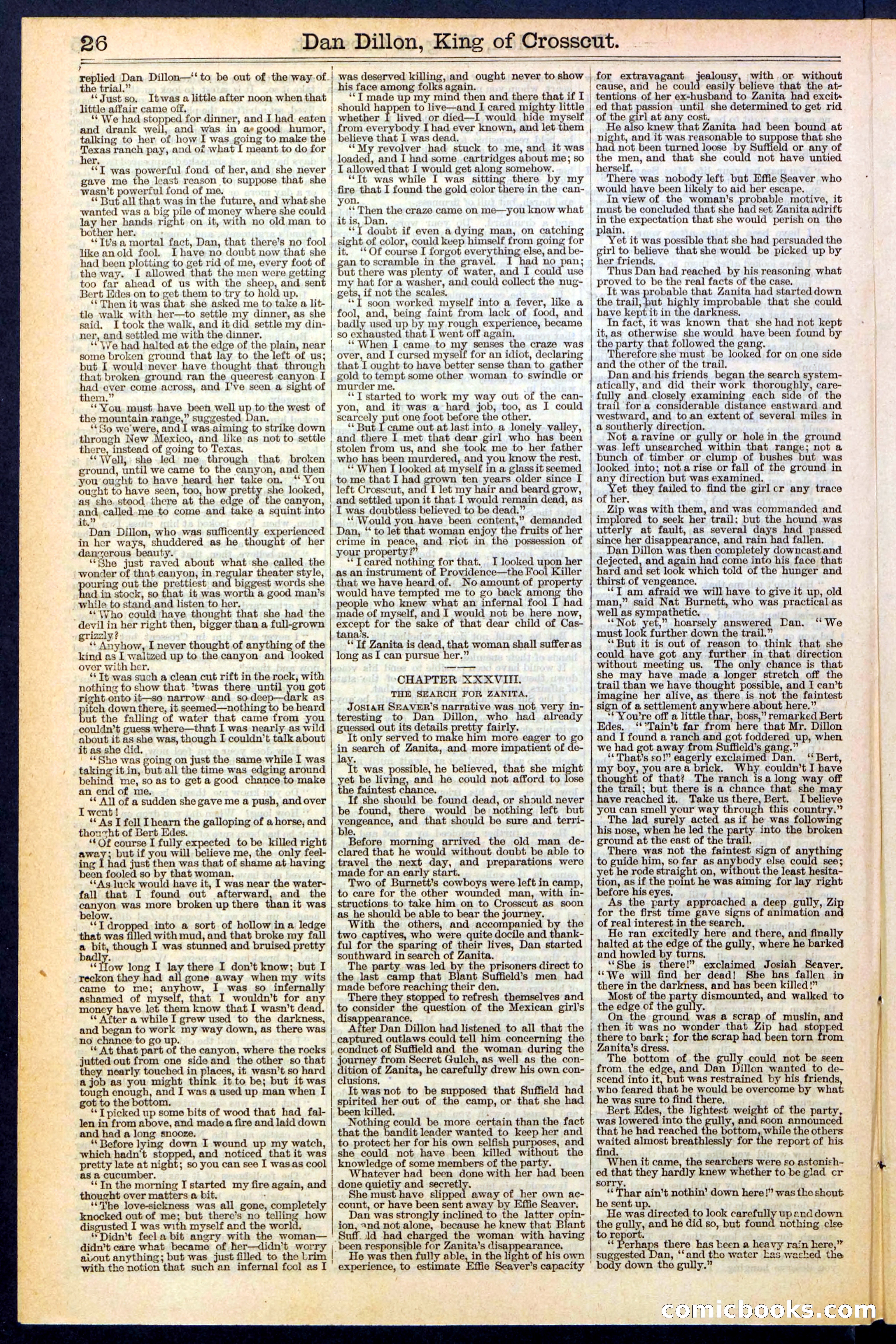 Beadle's Dime Library, No. 348 — page 26 of 32