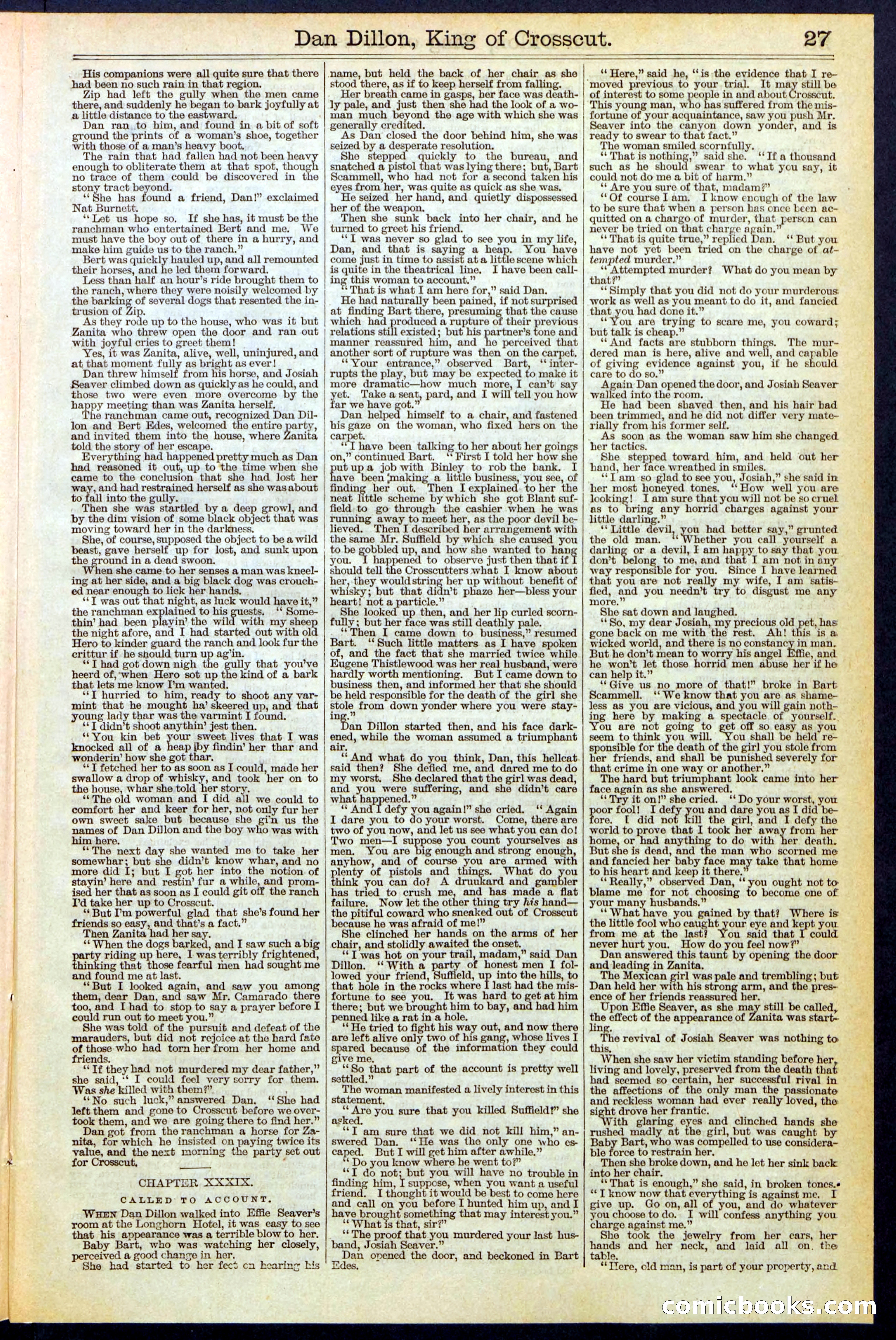 Beadle's Dime Library, No. 348 — page 27 of 32