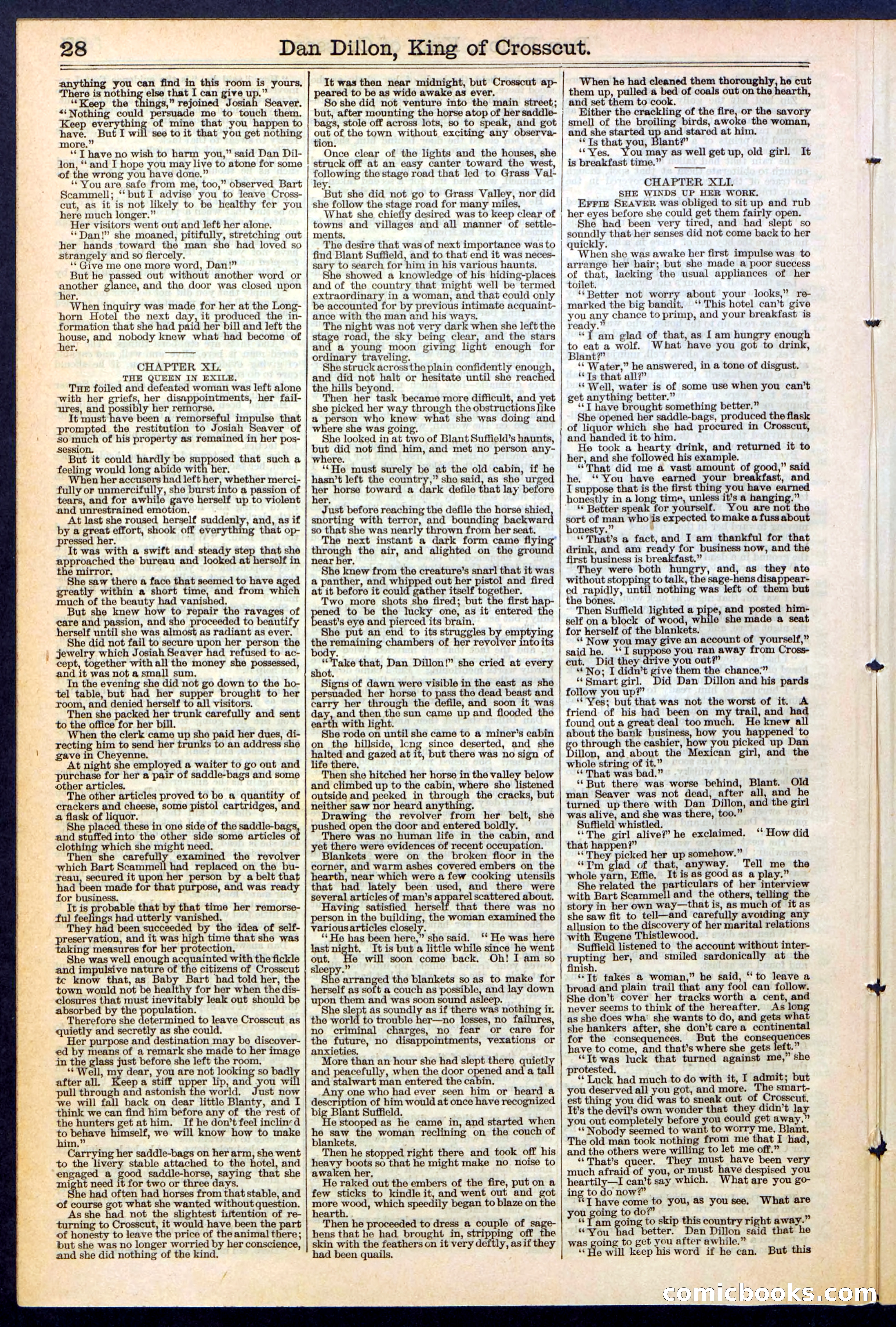 Beadle's Dime Library, No. 348 — page 28 of 32