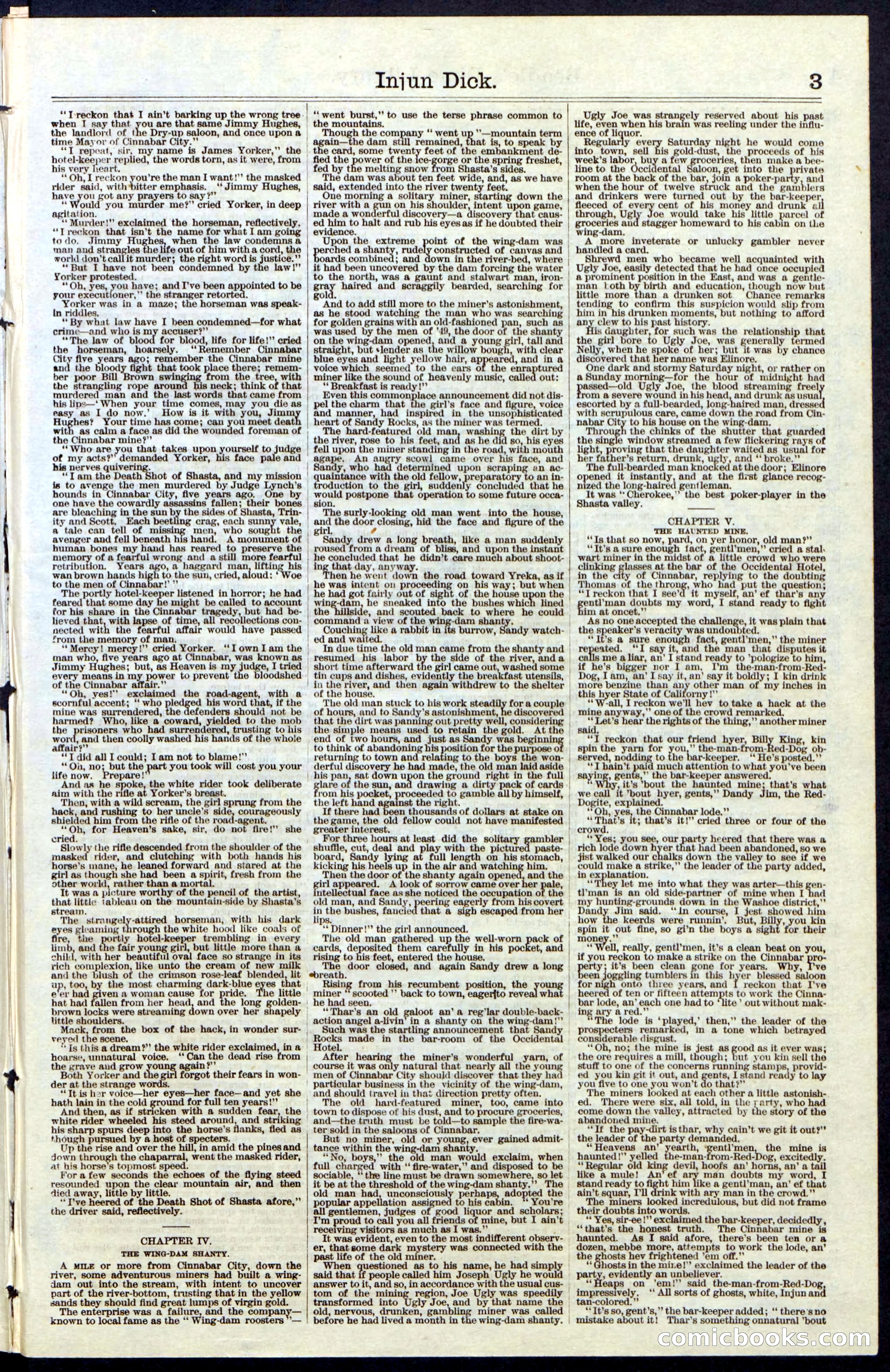 Beadle's New York Dime Library, No. 36 — page 3 of 24