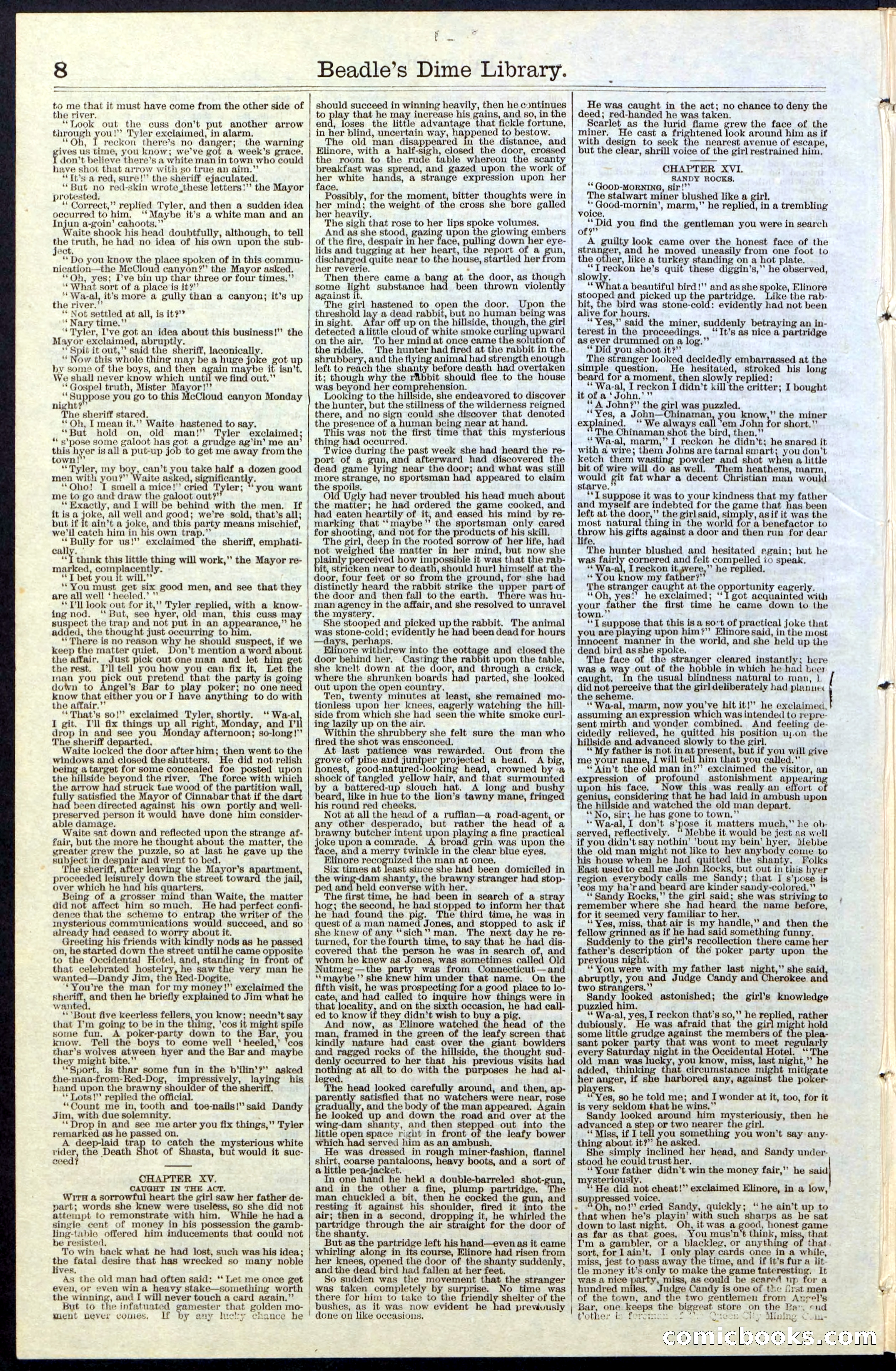 Beadle's New York Dime Library, No. 36 — page 8 of 24