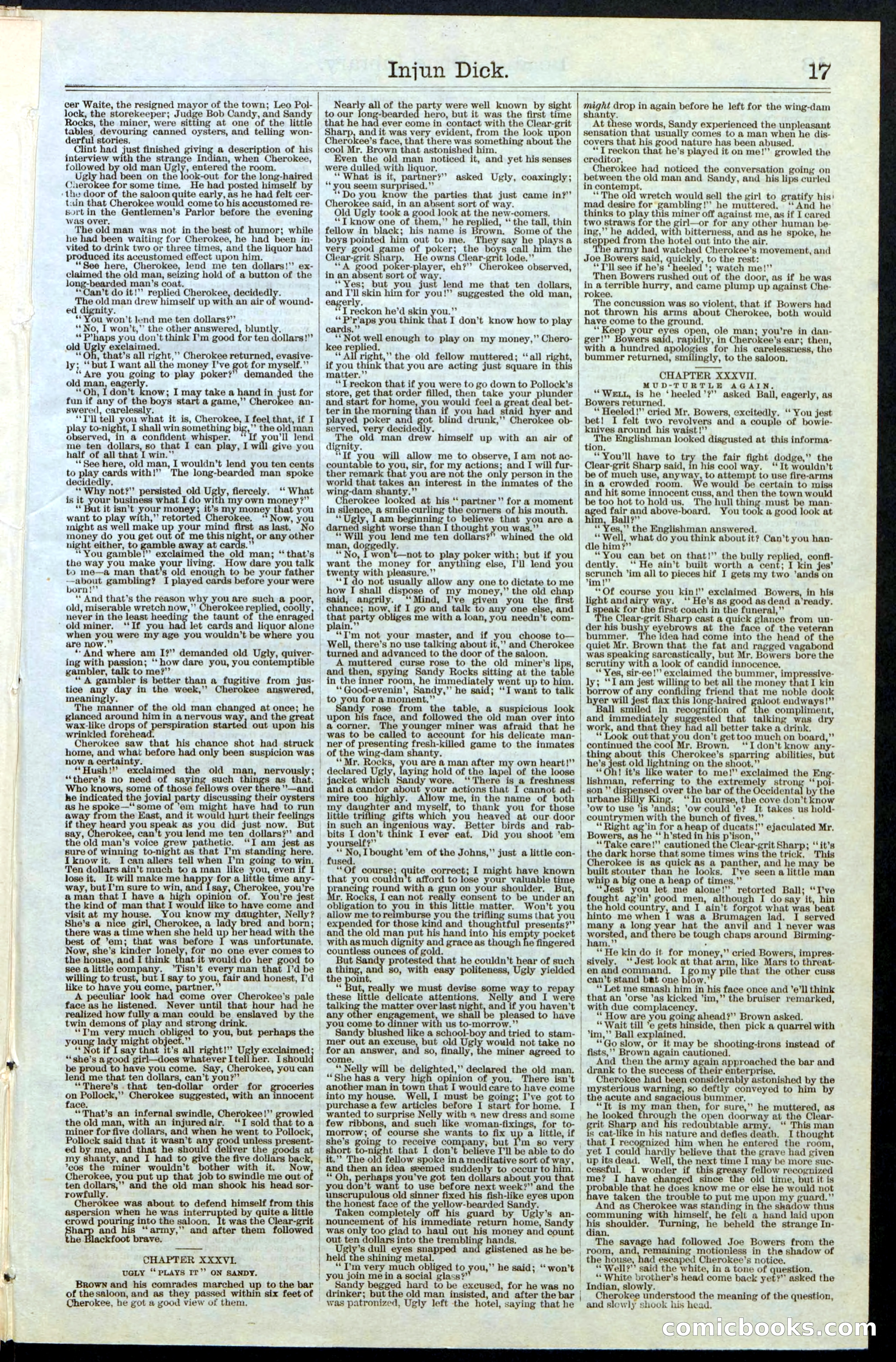 Beadle's New York Dime Library, No. 36 — page 17 of 24