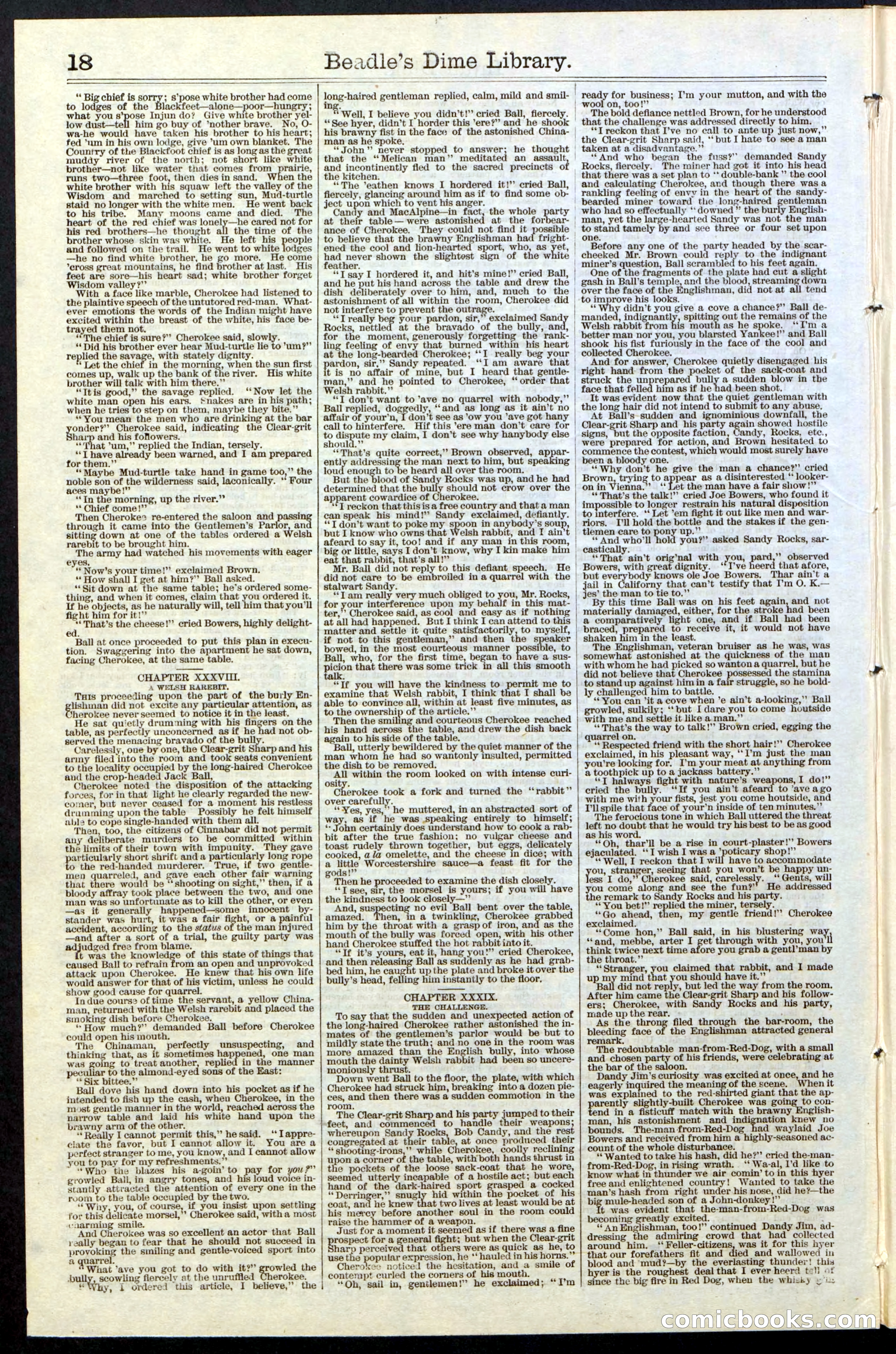 Beadle's New York Dime Library, No. 36 — page 18 of 24