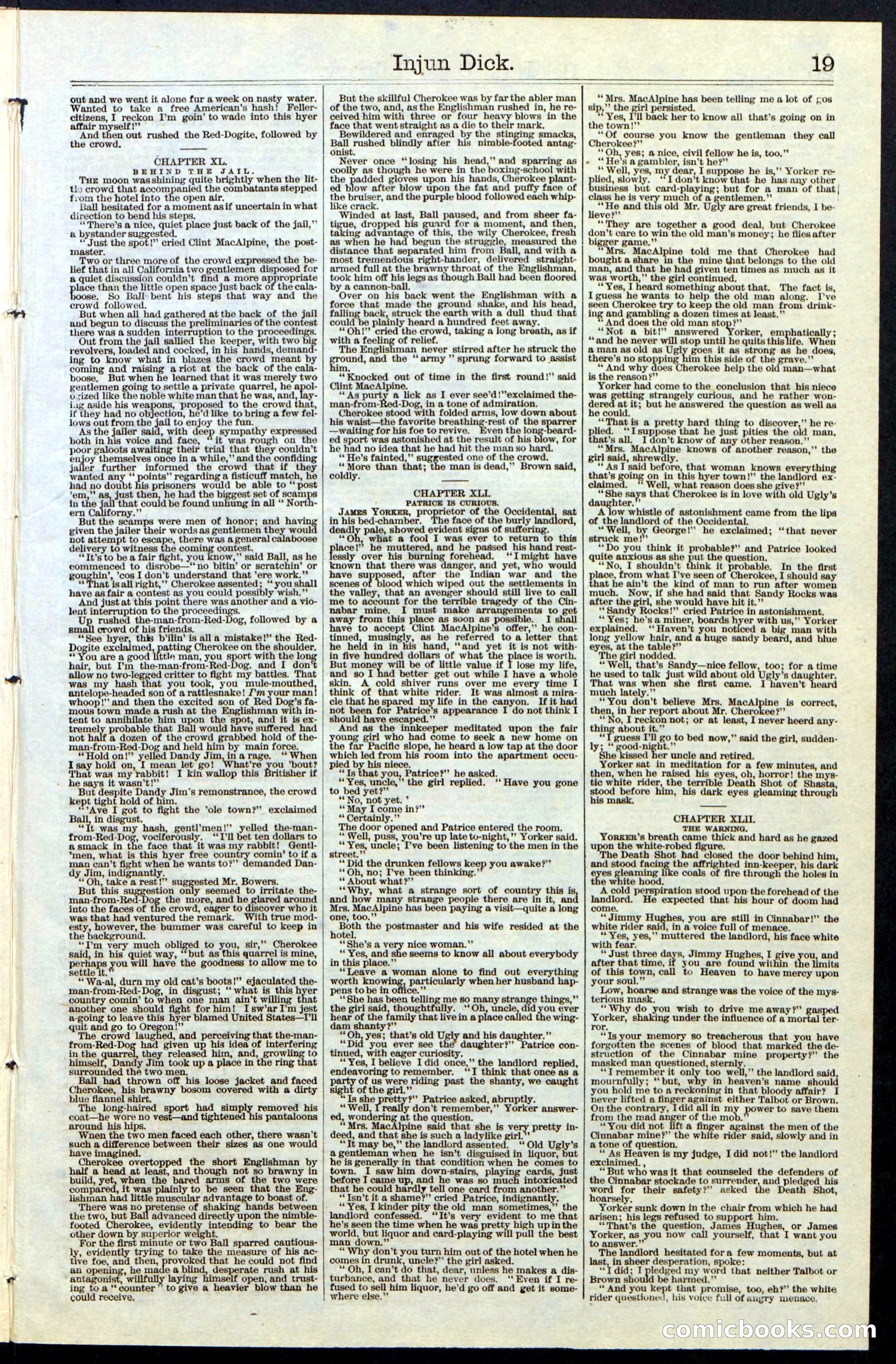 Beadle's New York Dime Library, No. 36 — page 19 of 24