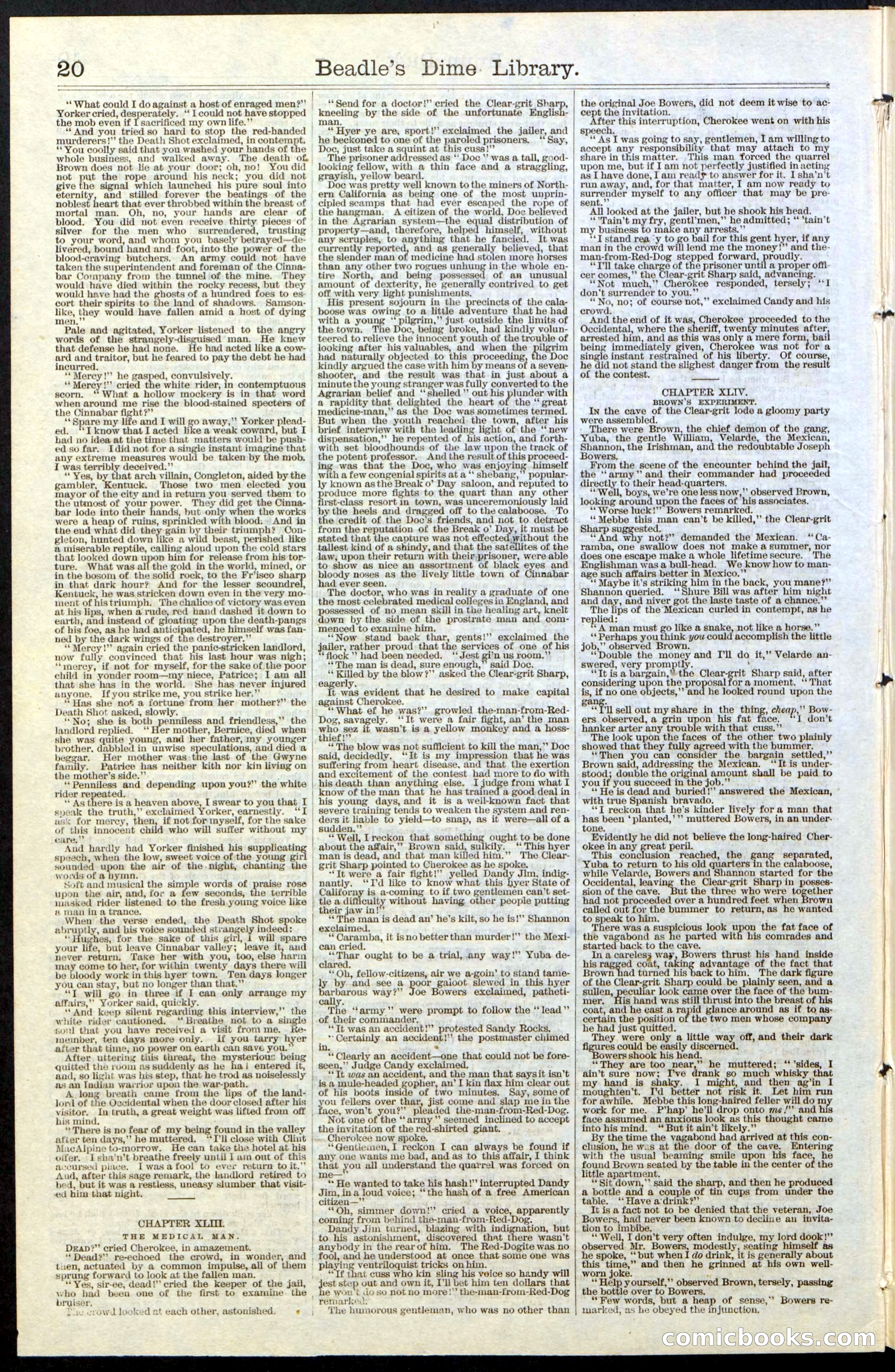 Beadle's New York Dime Library, No. 36 — page 20 of 24
