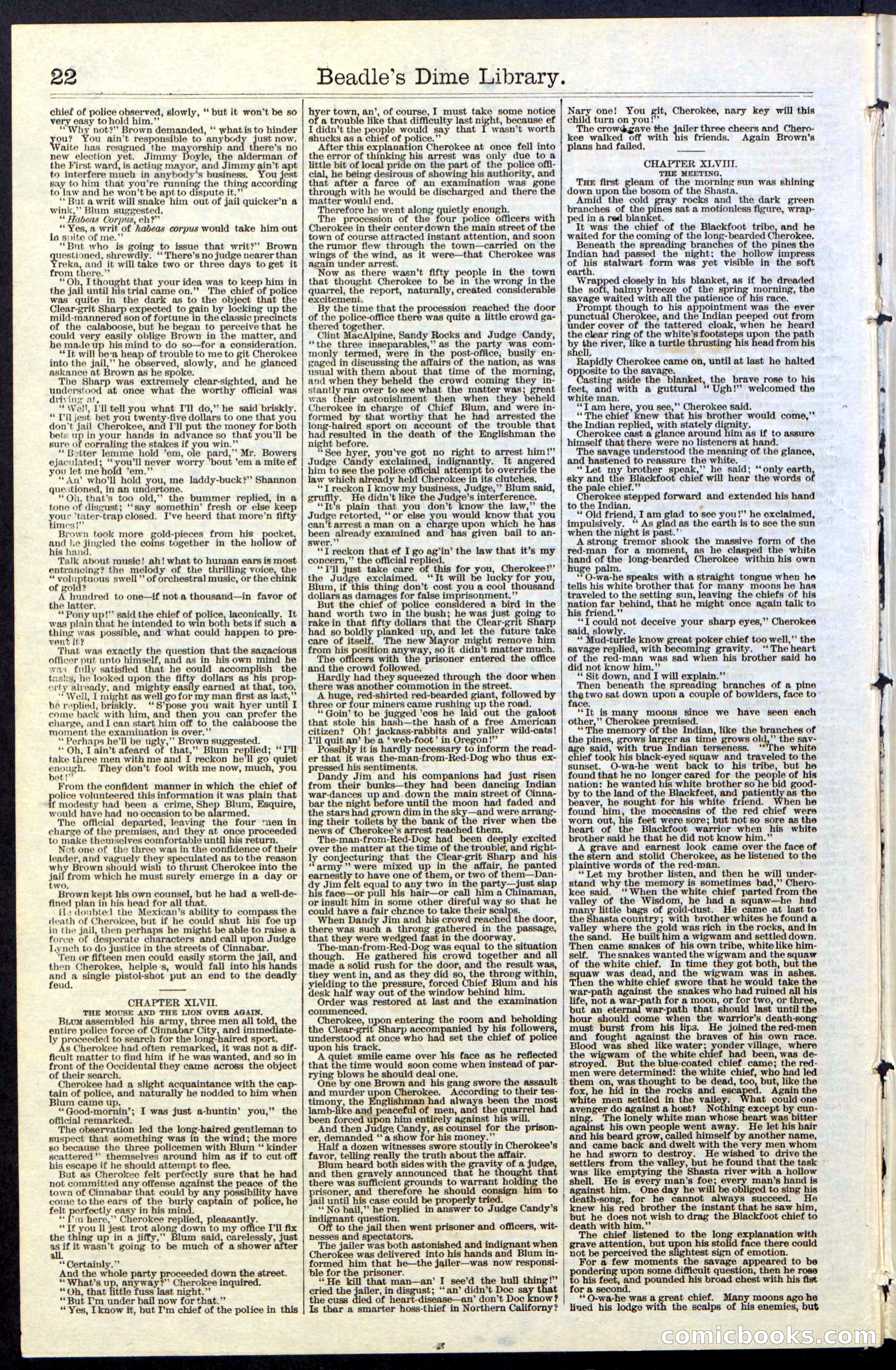 Beadle's New York Dime Library, No. 36 — page 22 of 24