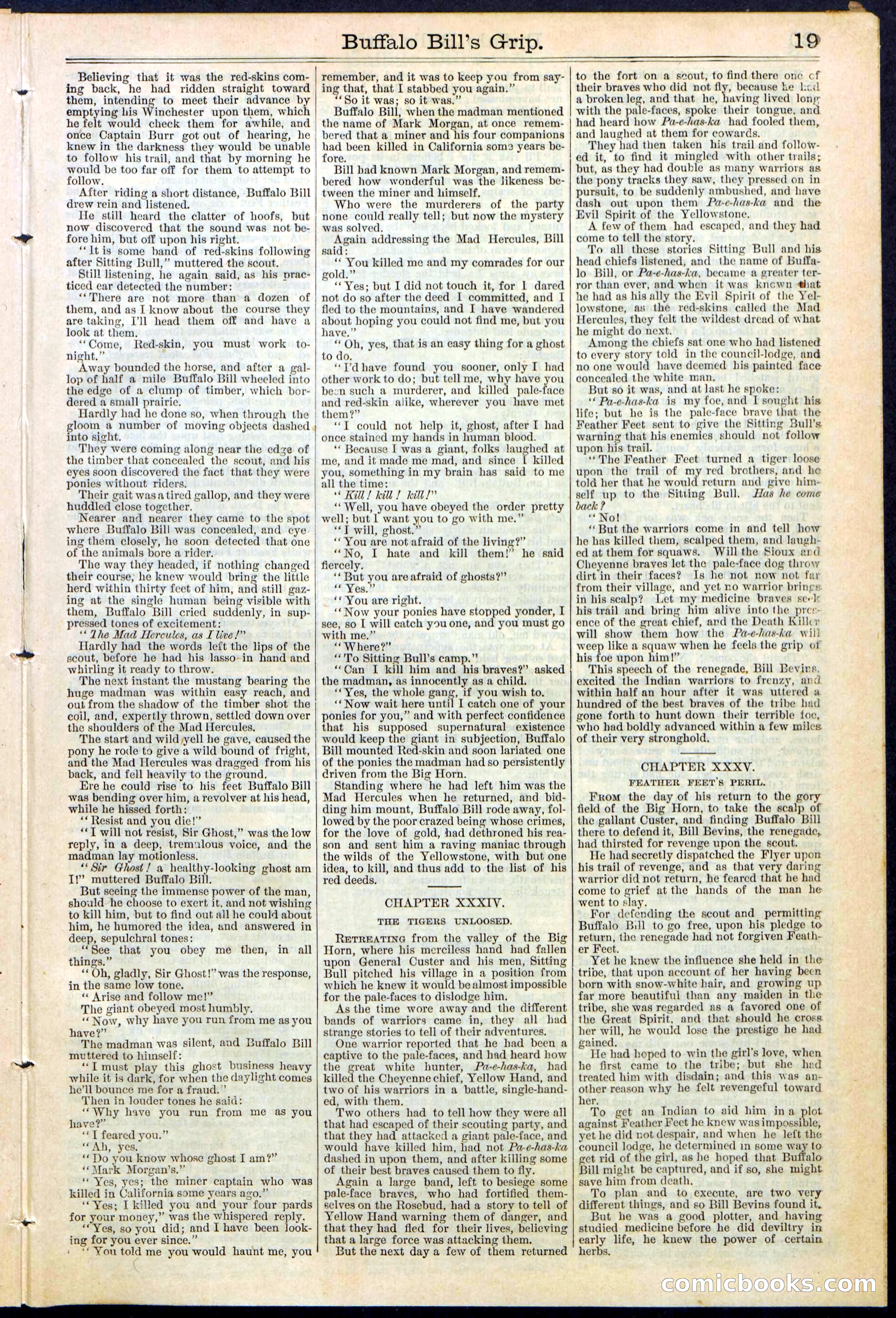 Beadle's Dime Library No. 362 — page 19 of 24