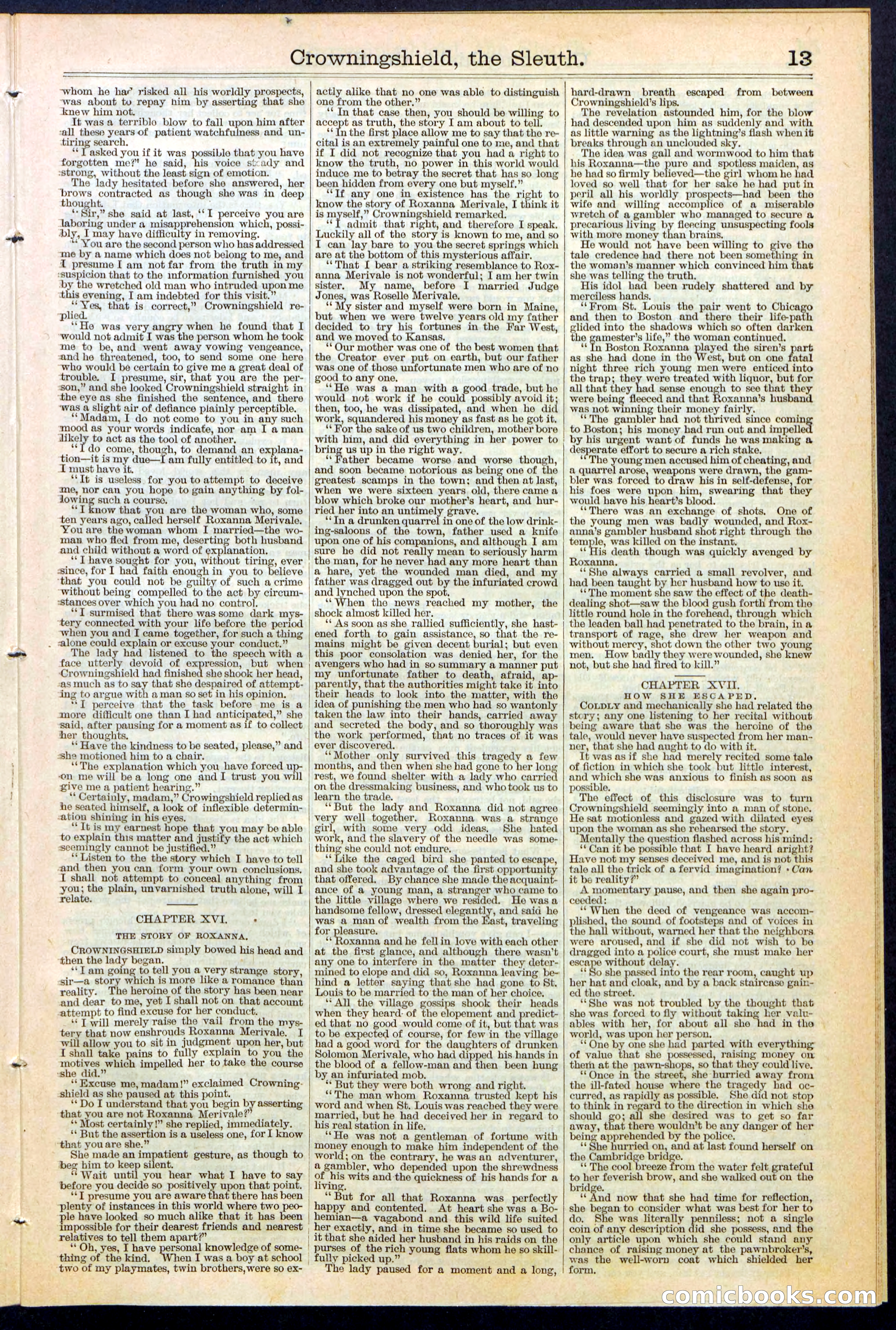 Beadle's New York Dime Library No. 363 — page 13 of 32