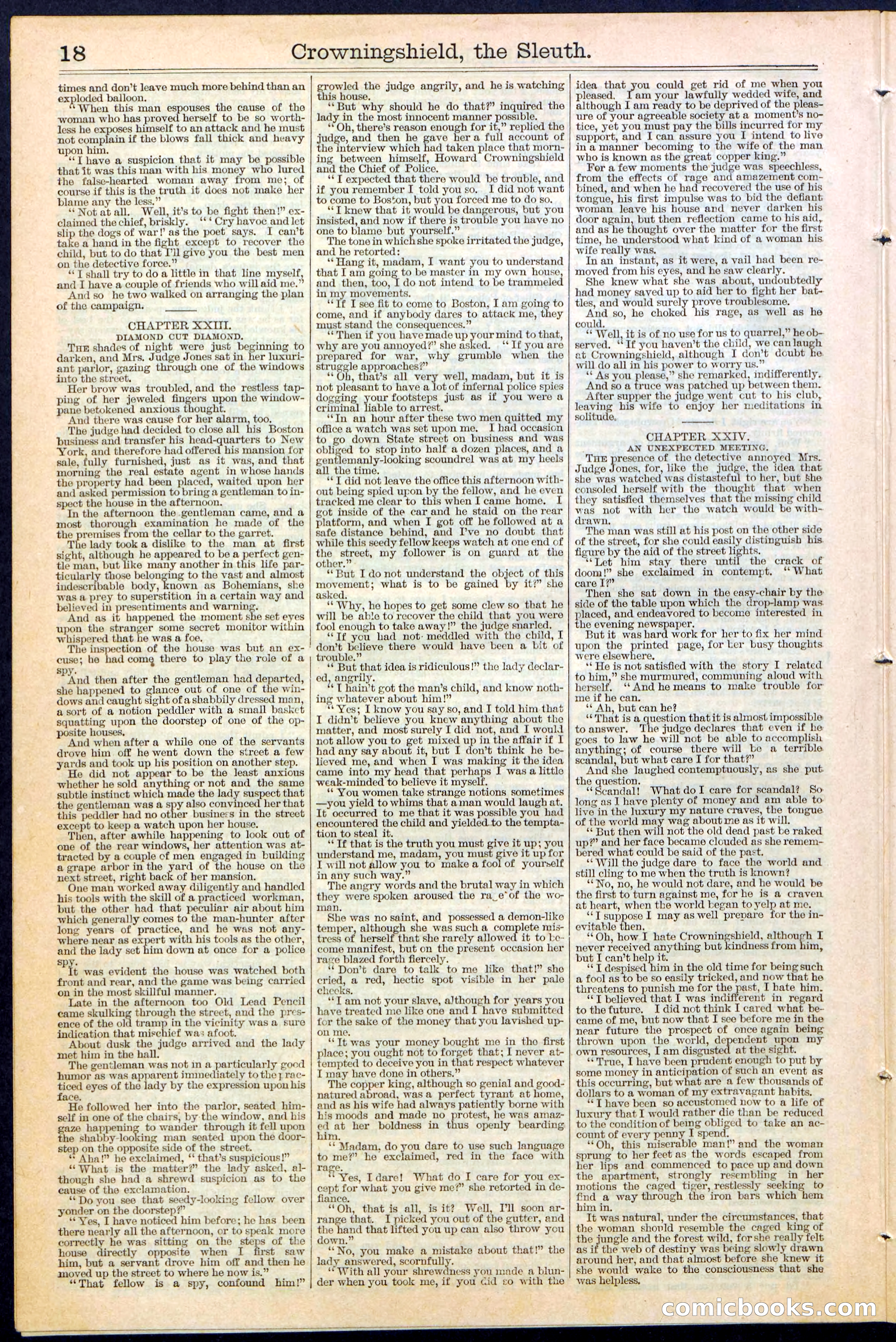 Beadle's New York Dime Library No. 363 — page 18 of 32