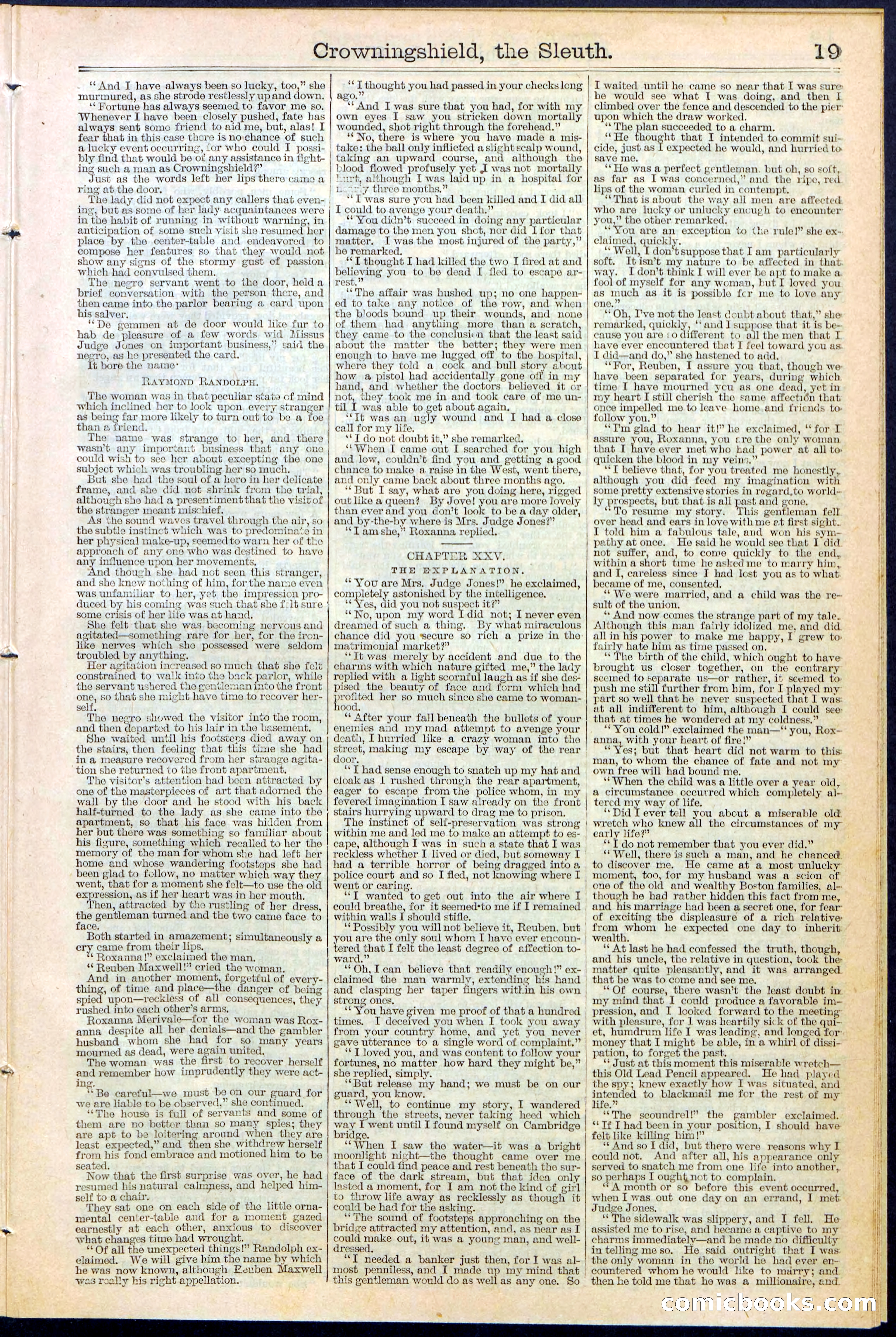 Beadle's New York Dime Library No. 363 — page 19 of 32
