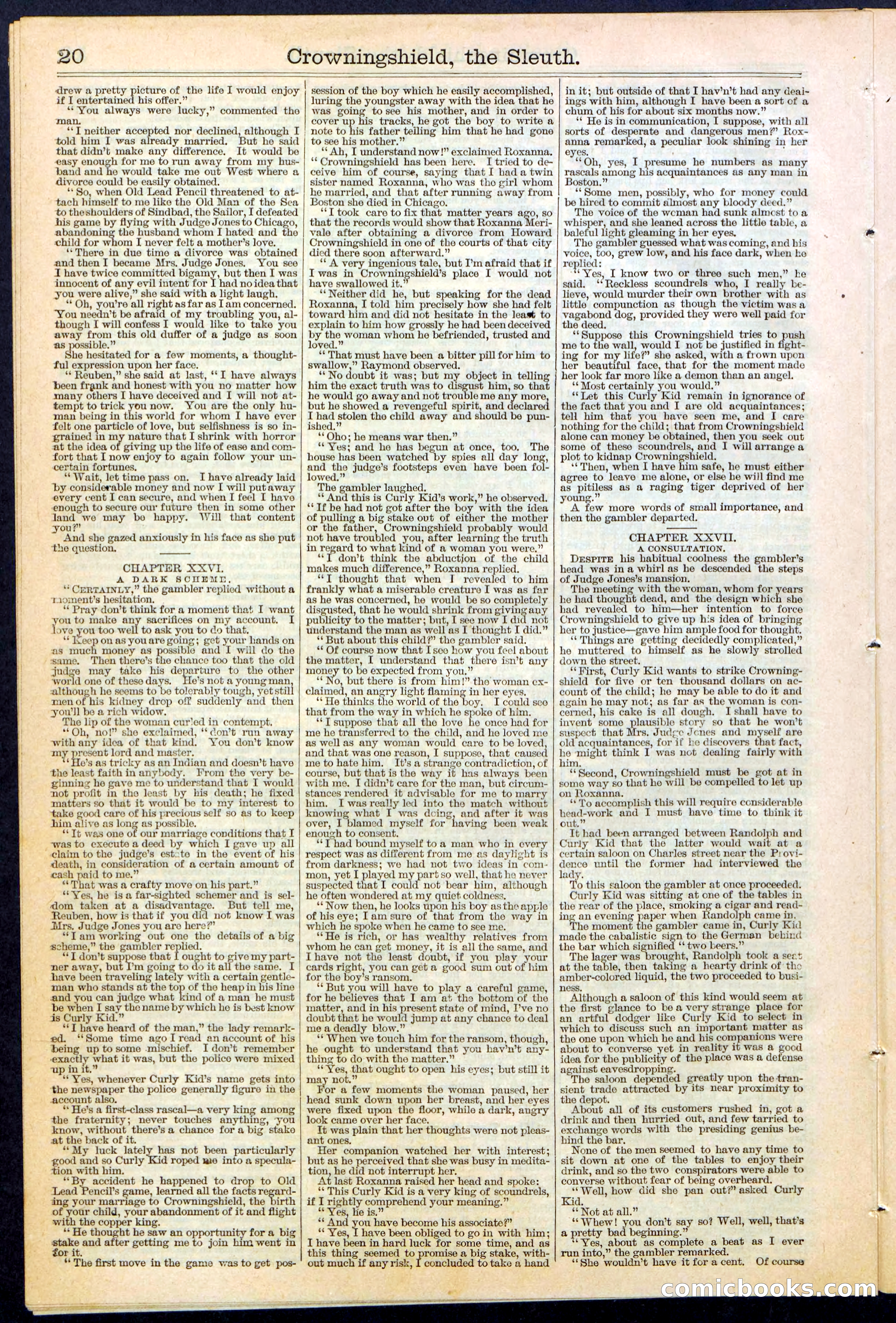 Beadle's New York Dime Library No. 363 — page 20 of 32