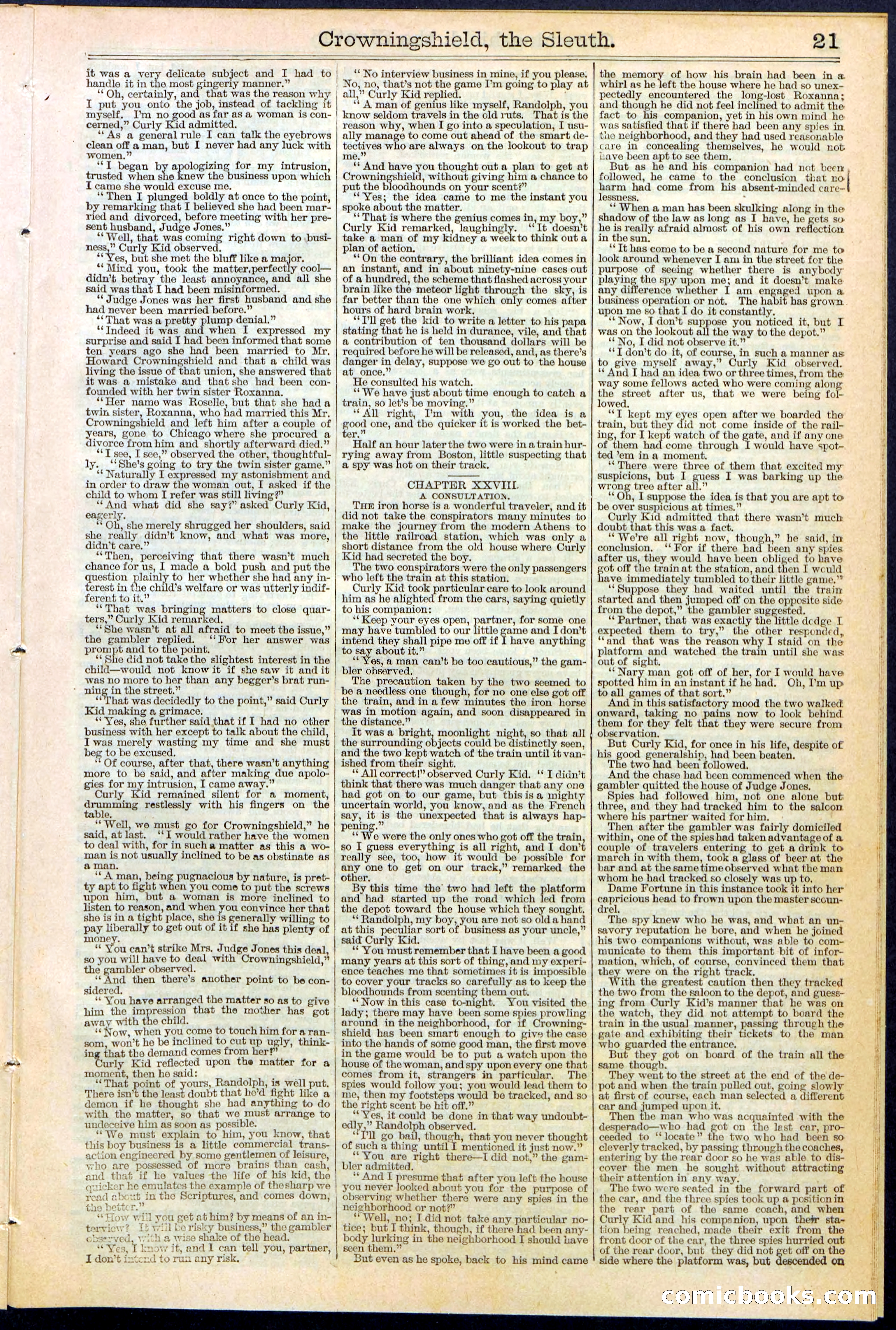 Beadle's New York Dime Library No. 363 — page 21 of 32