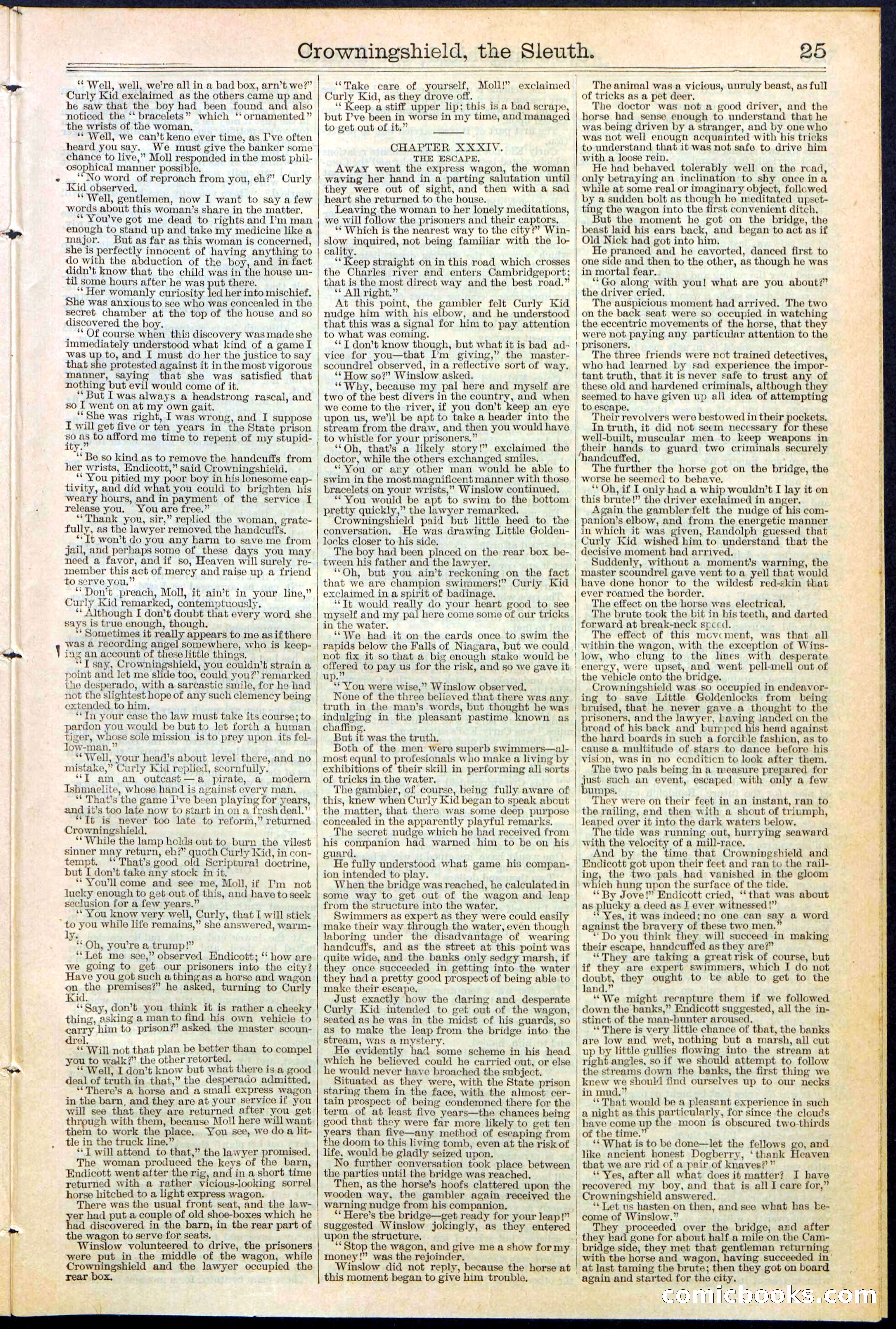 Beadle's New York Dime Library No. 363 — page 25 of 32