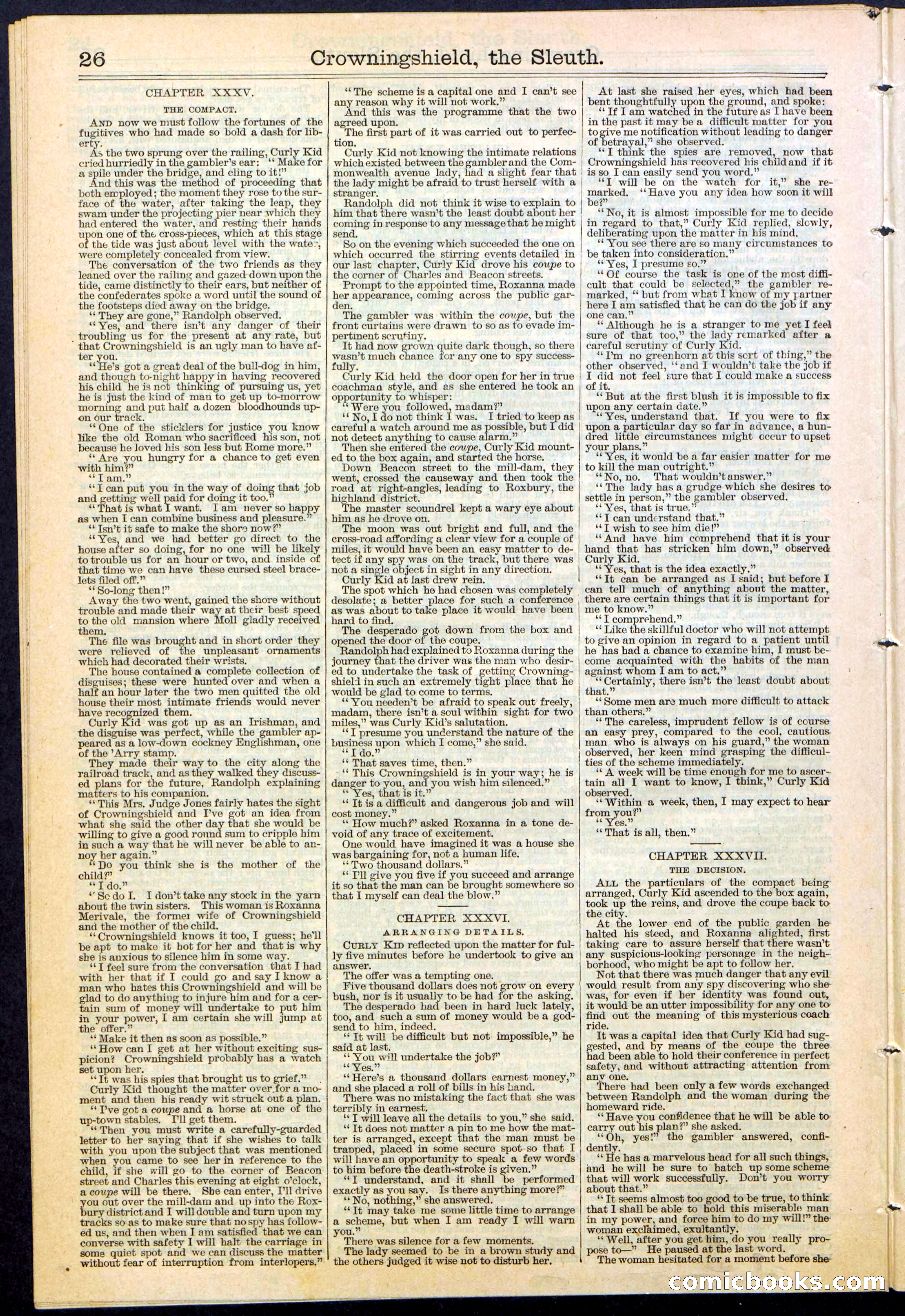 Beadle's New York Dime Library No. 363 — page 26 of 32